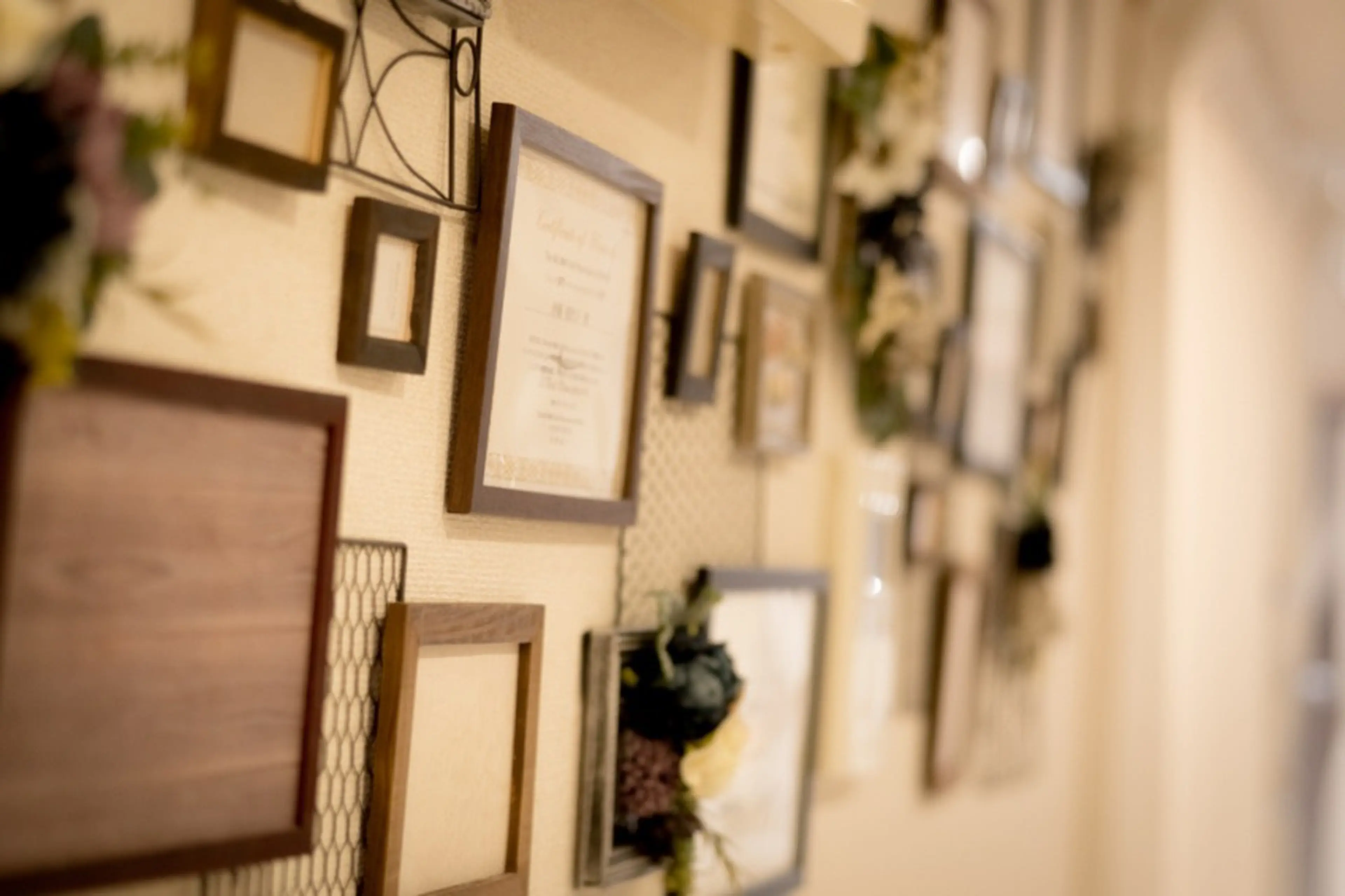 VIOLANFAの内観・外観1