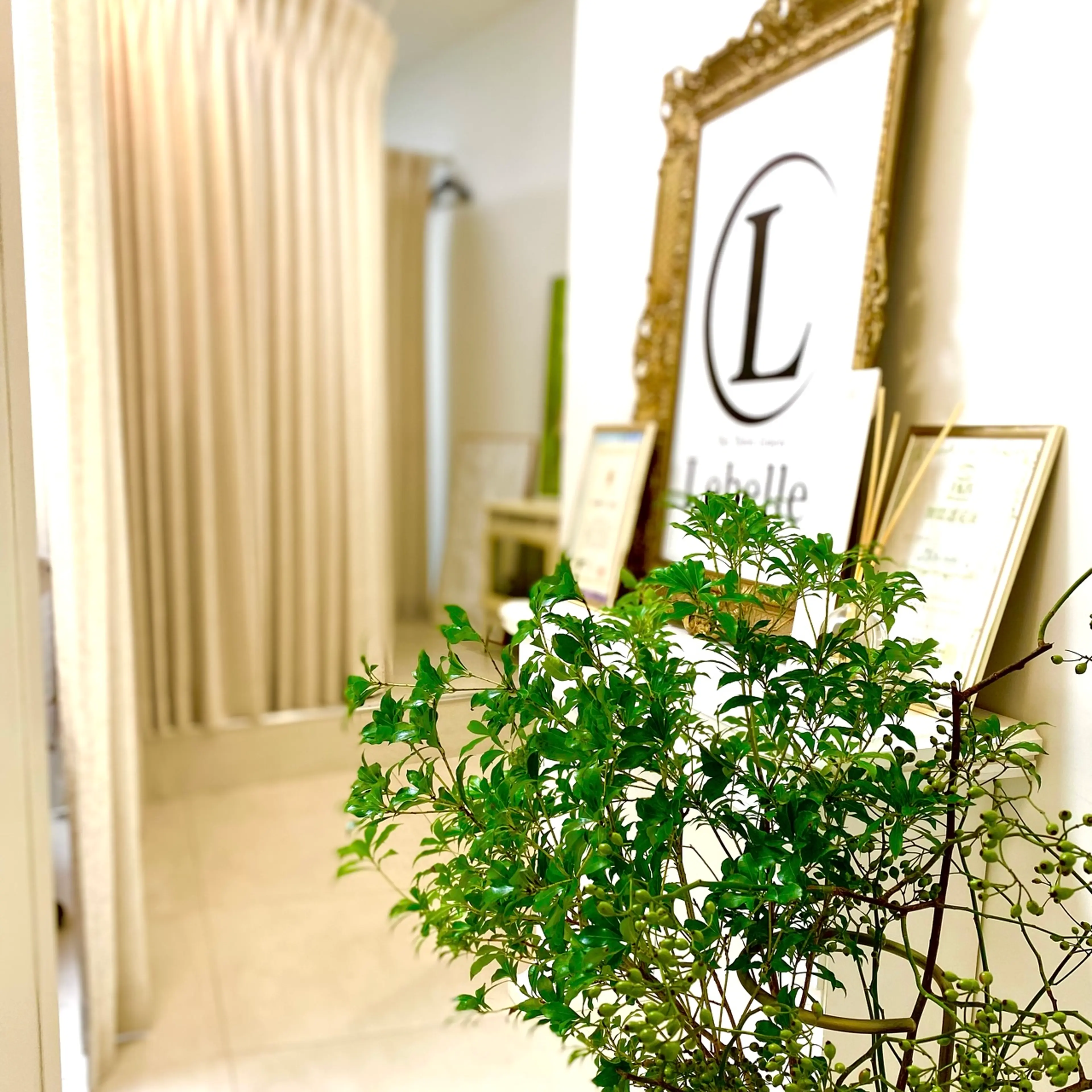 ハーブピーリング専門Lebelle:(リベル)名古屋の内観・外観2