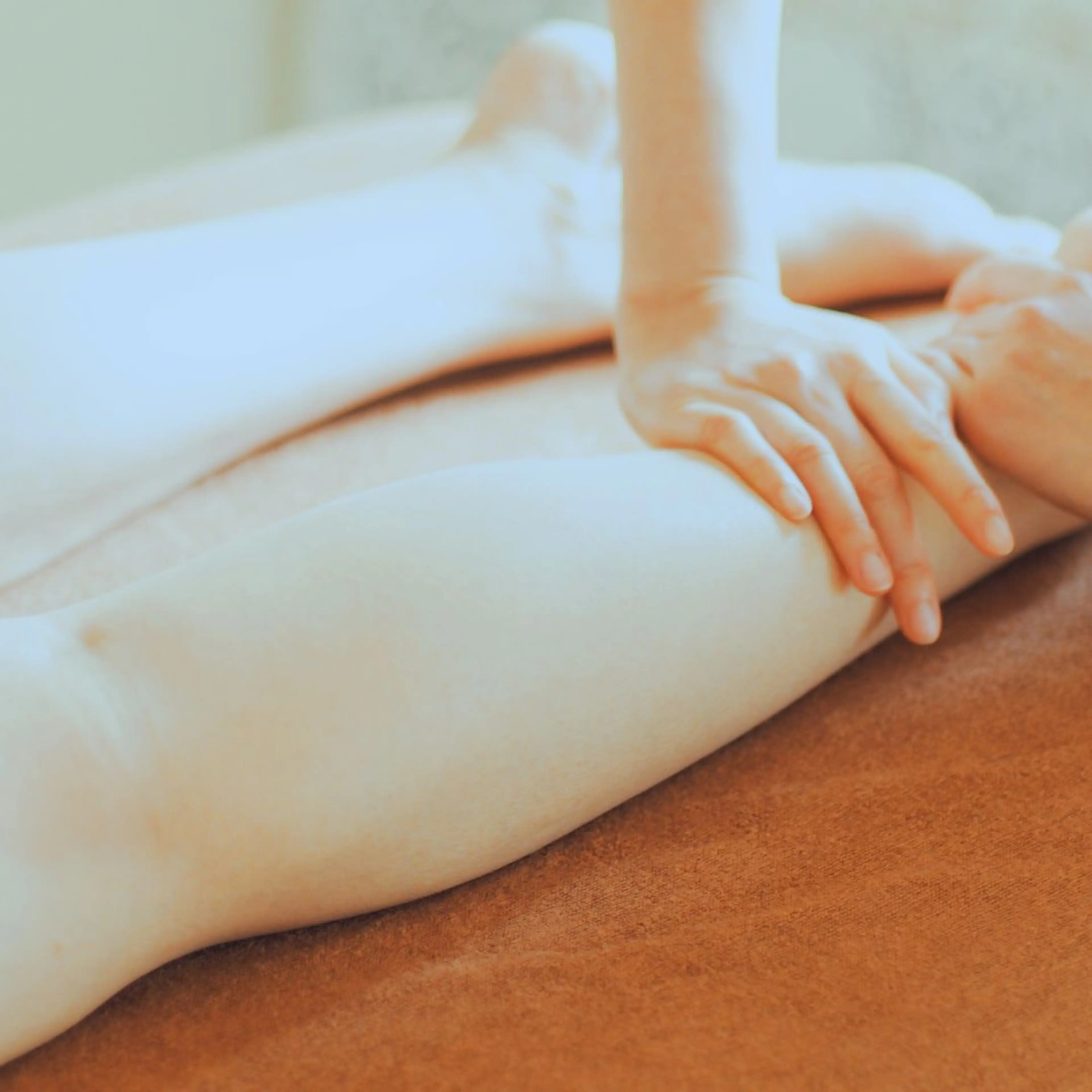 ラ・シュエットの内観・外観2