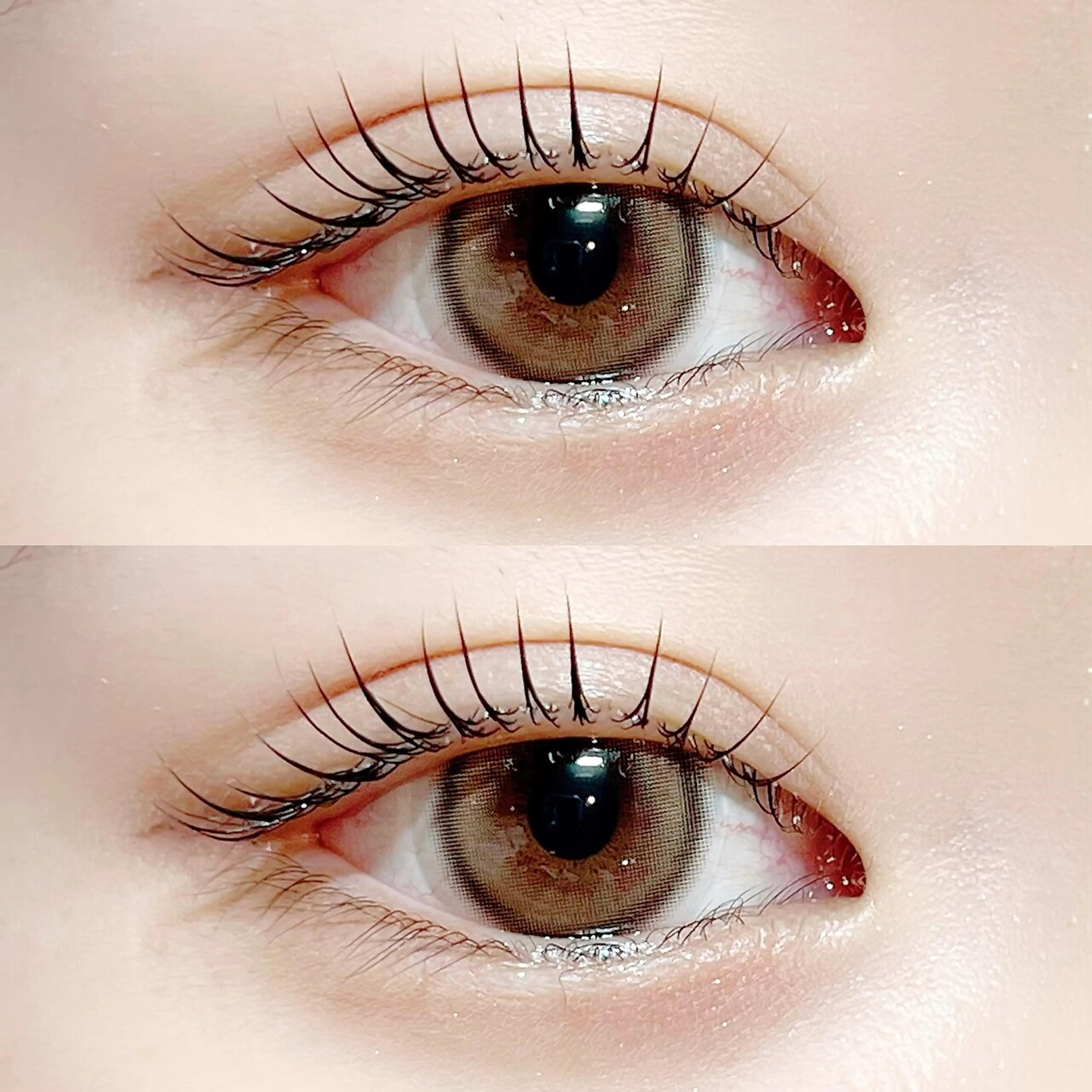 Makea柏の内観・外観2