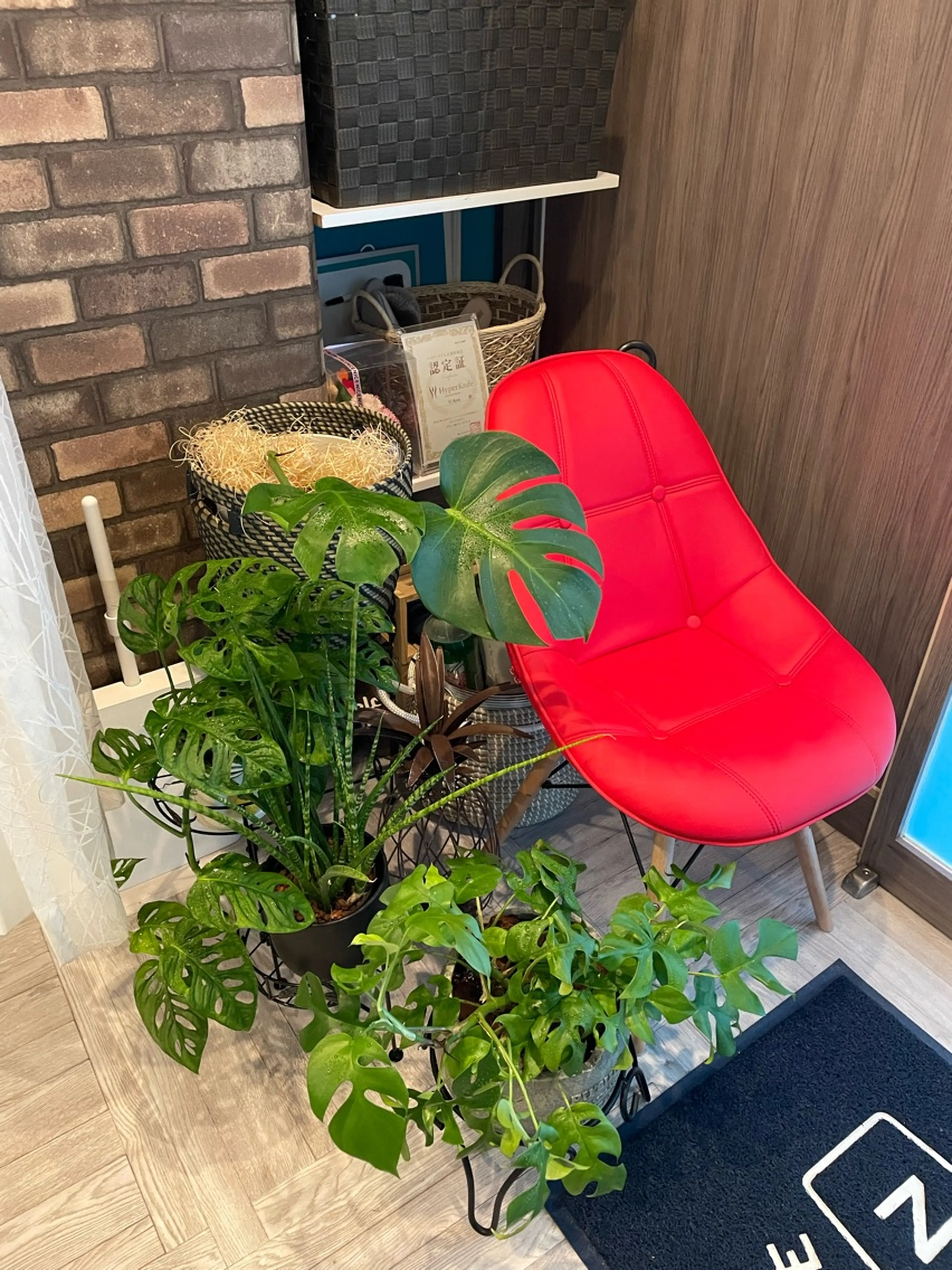 痩身&骨盤美容整体サロン Vi Reveの内観・外観3