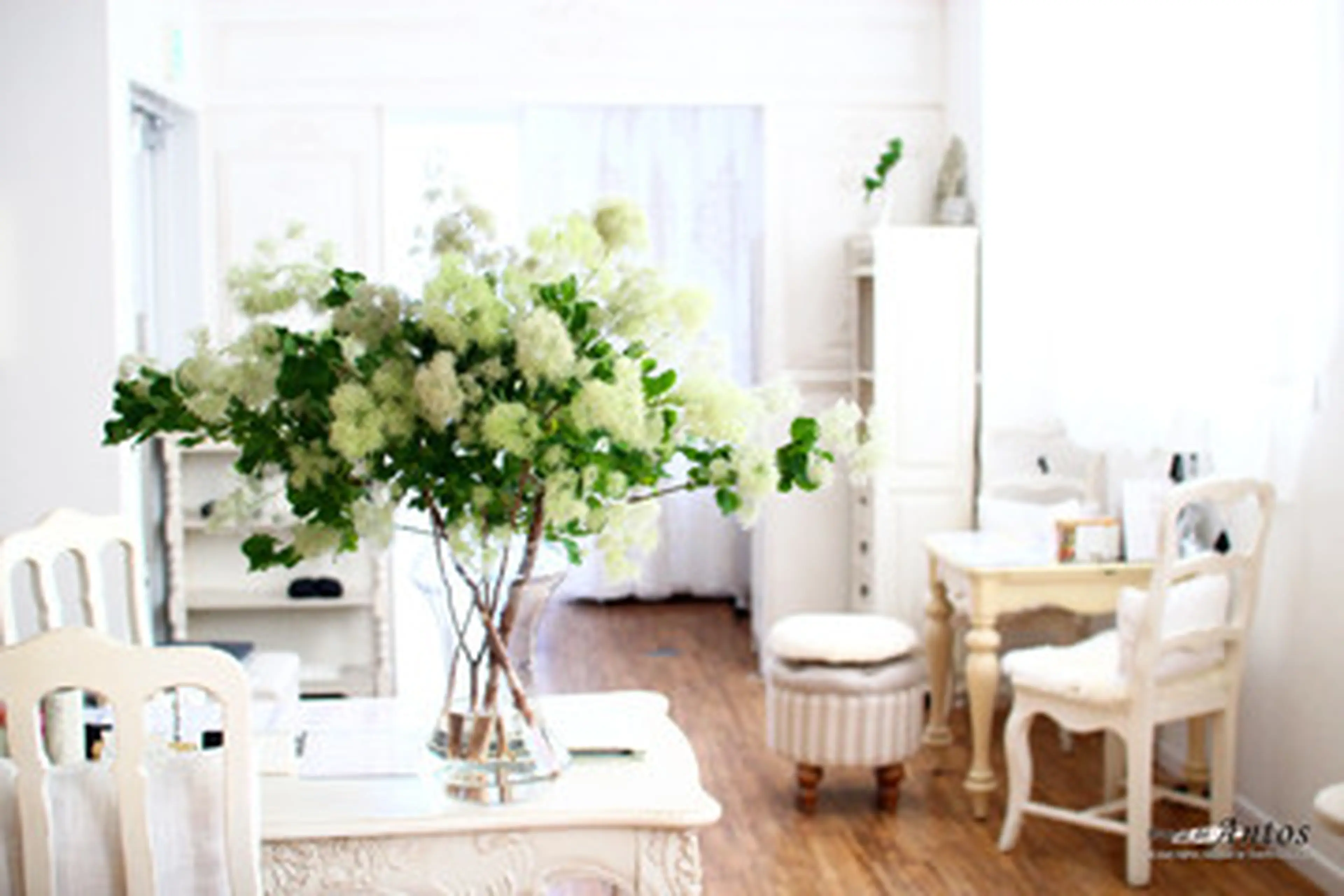 まつげ＆眉の専門店アントスの内観・外観3