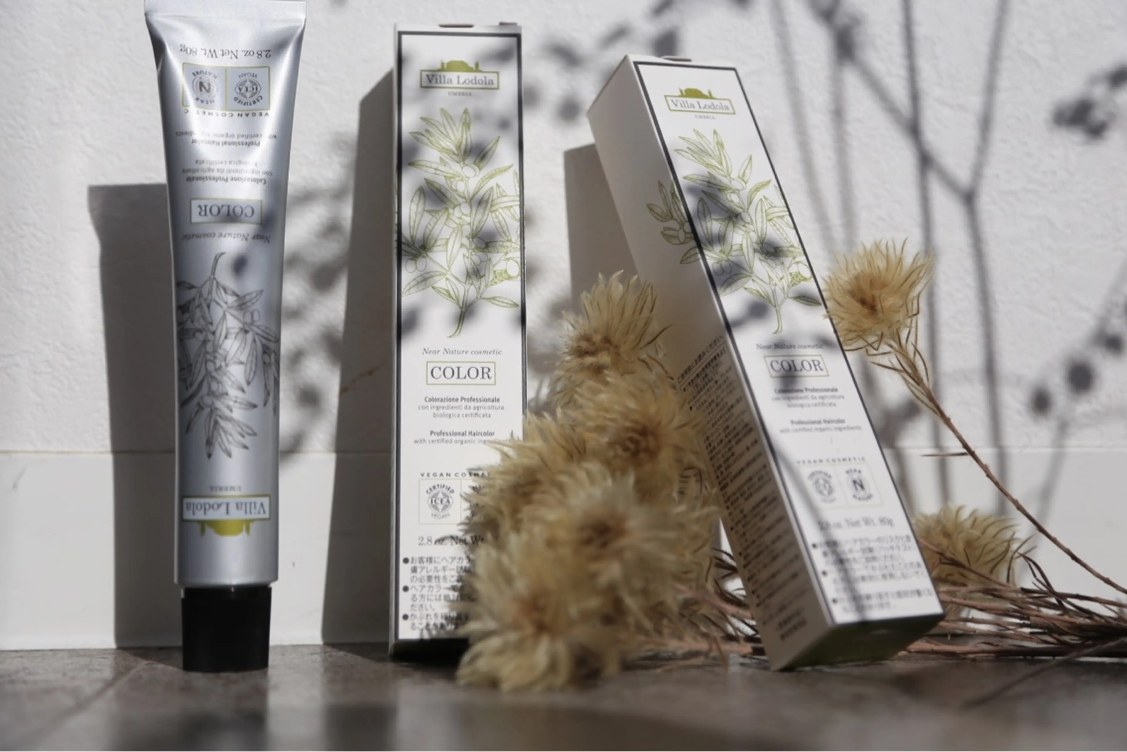 mata-L23の内観・外観3