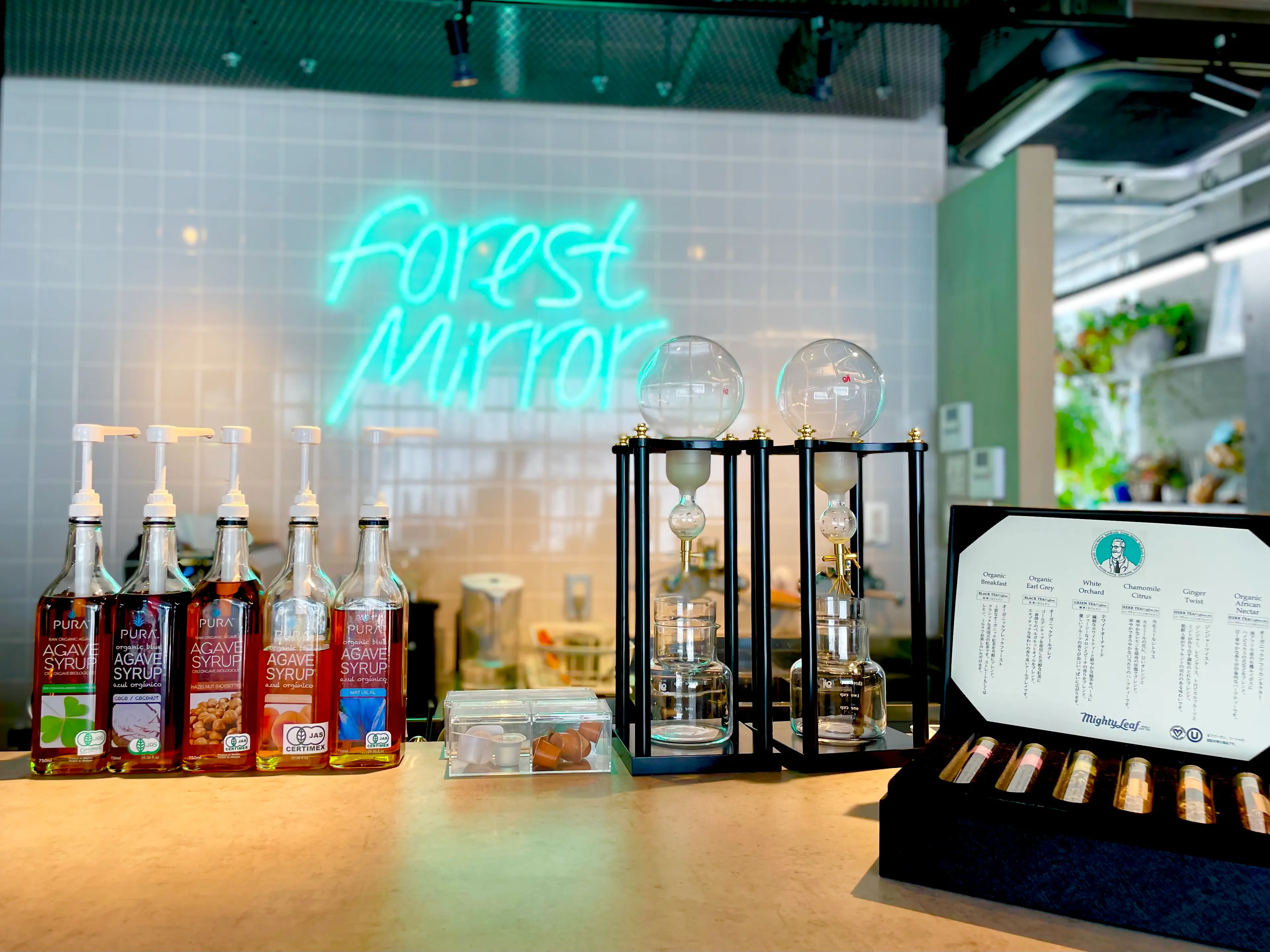 Forest Mirrorの内観・外観2