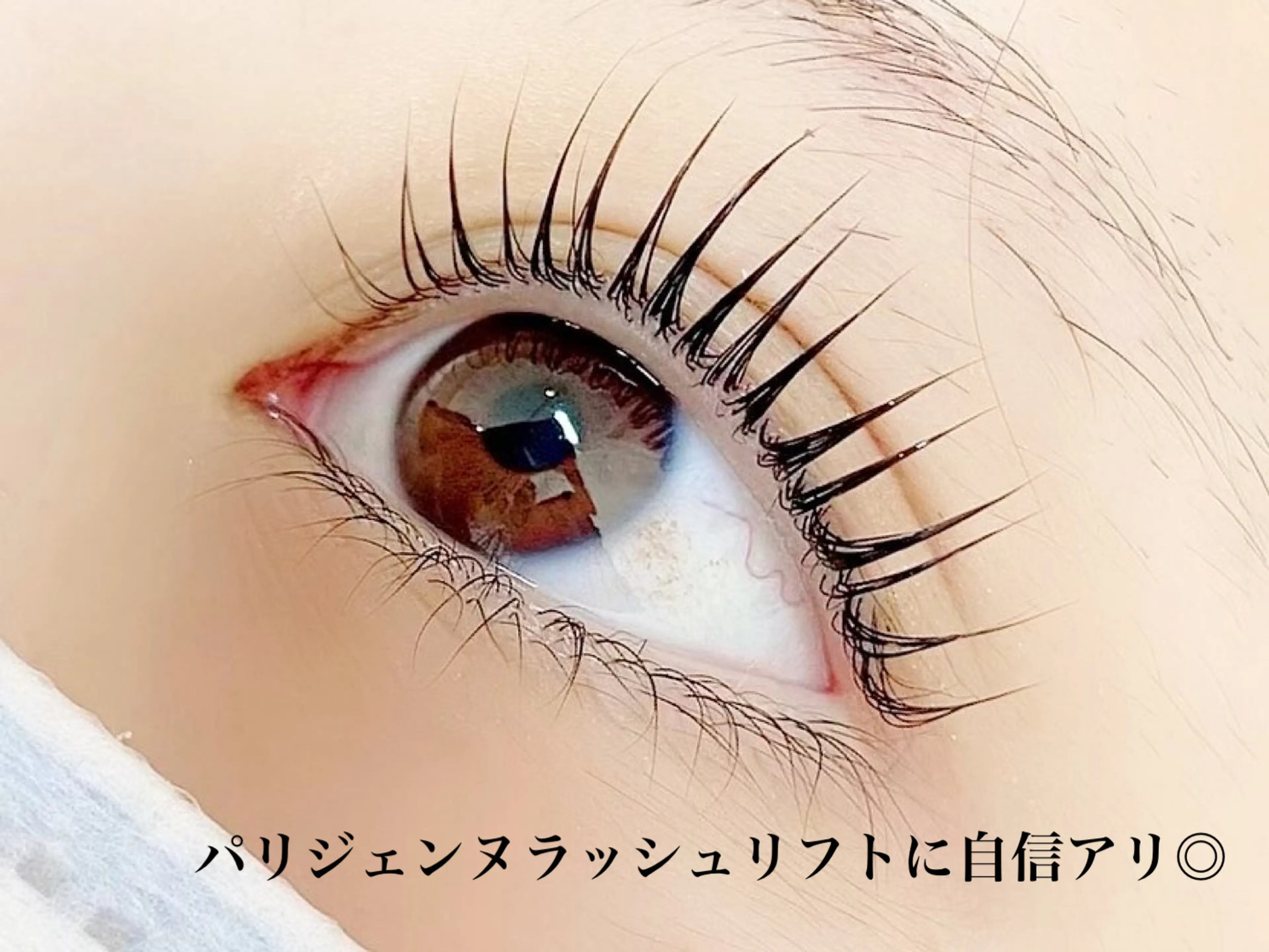 ルミエールの内観・外観2