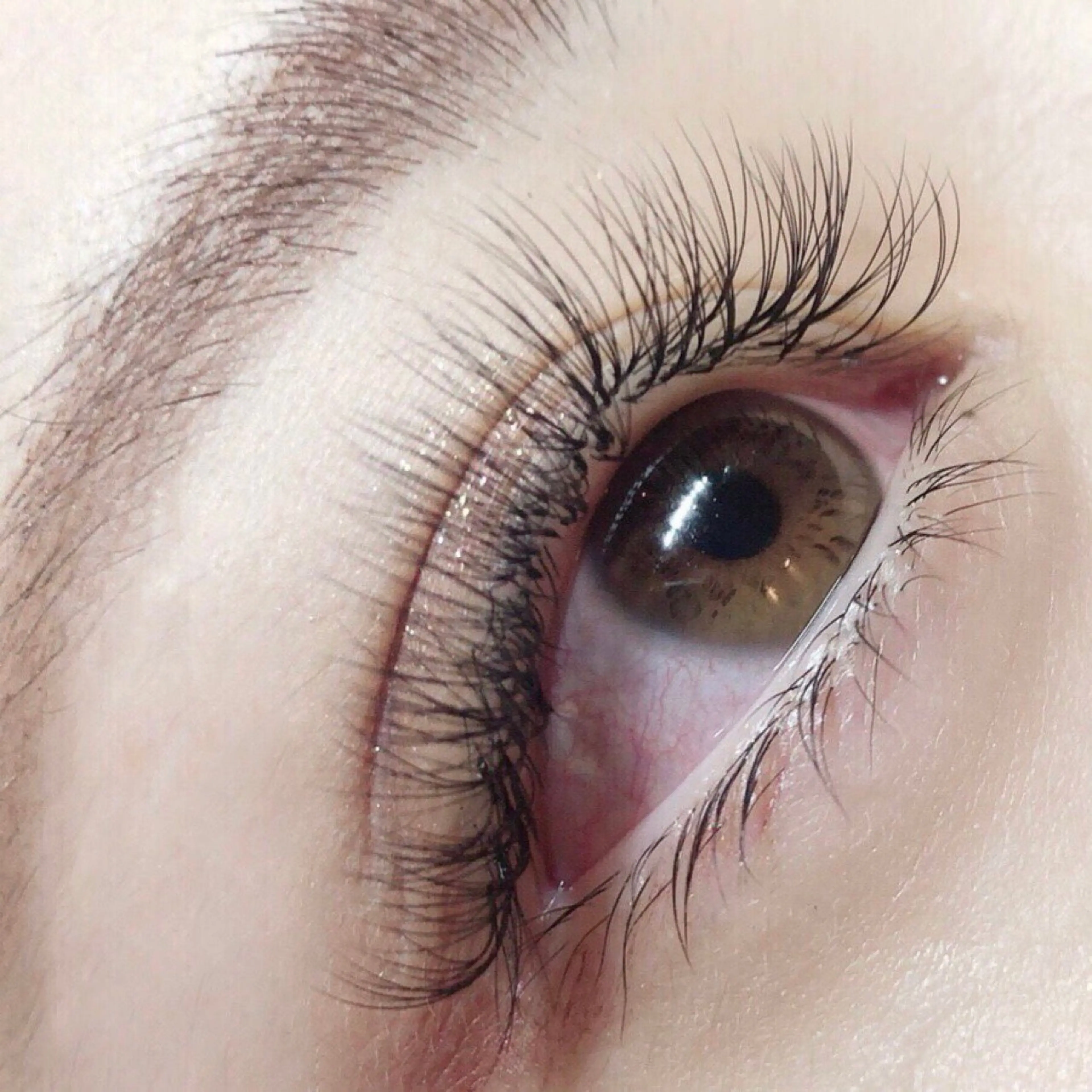 EYERISの内観・外観3