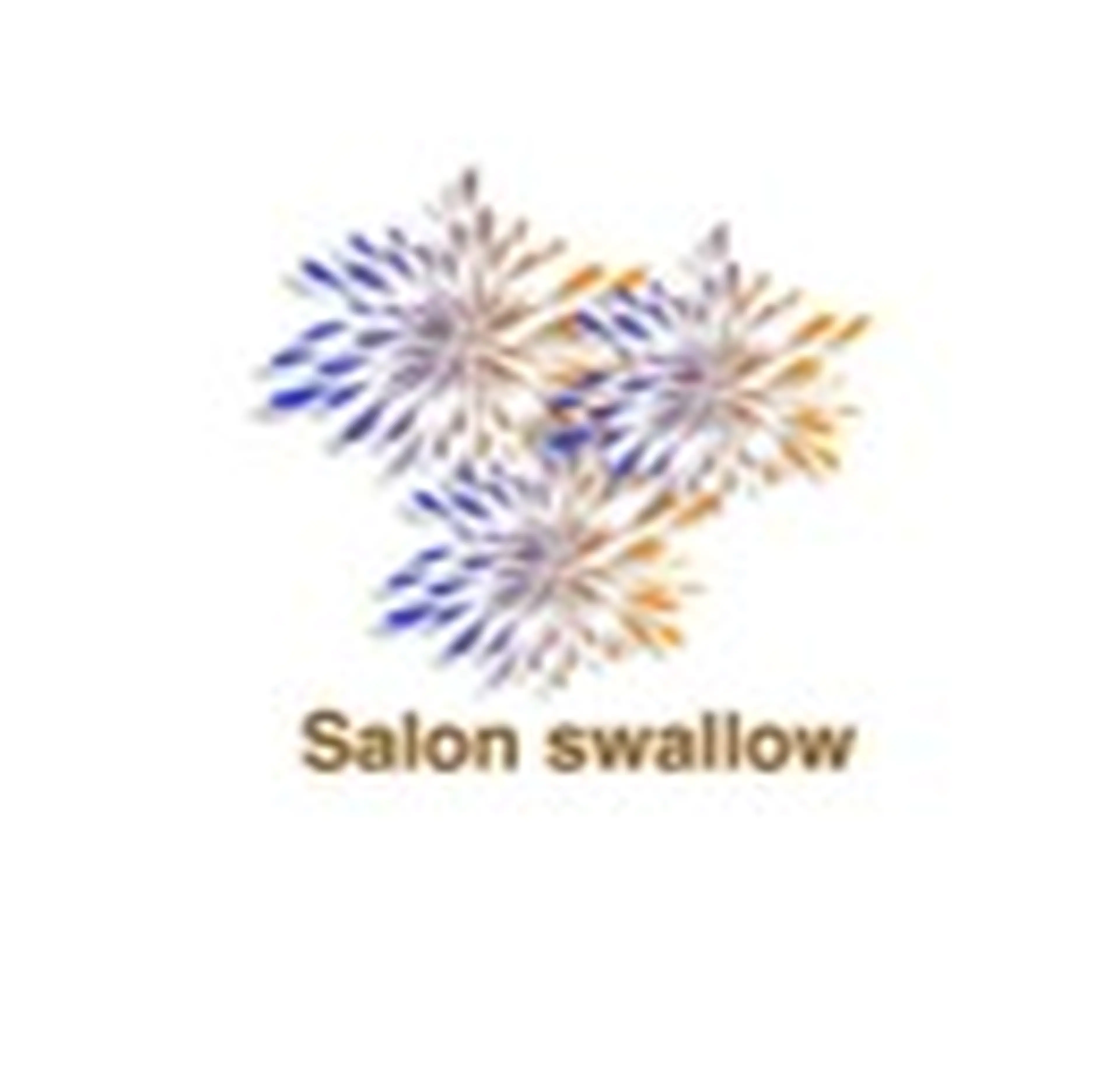 Salon Swallow　サロンスワローの内観・外観3