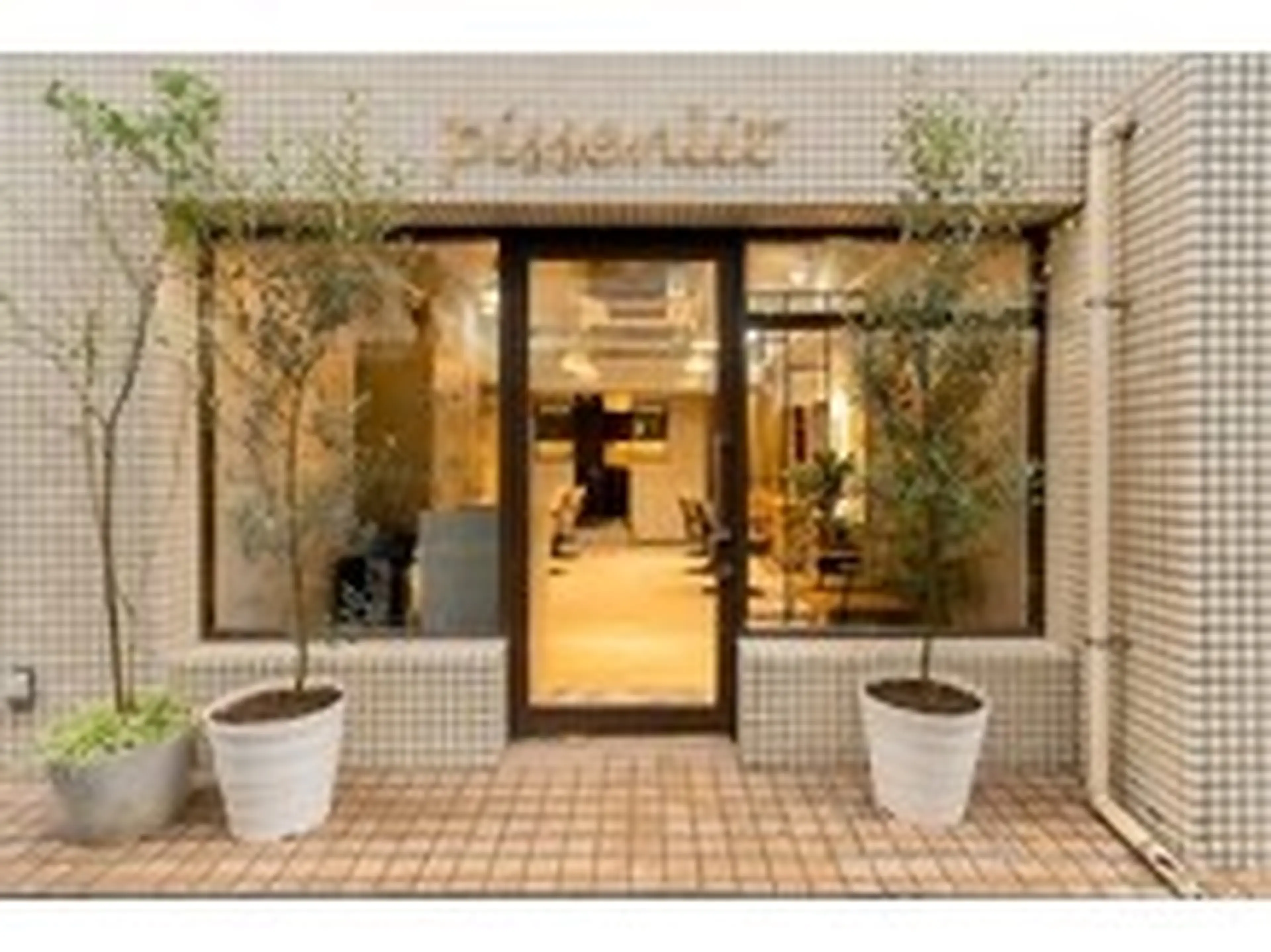 pissenlit ピサンリの内観・外観3