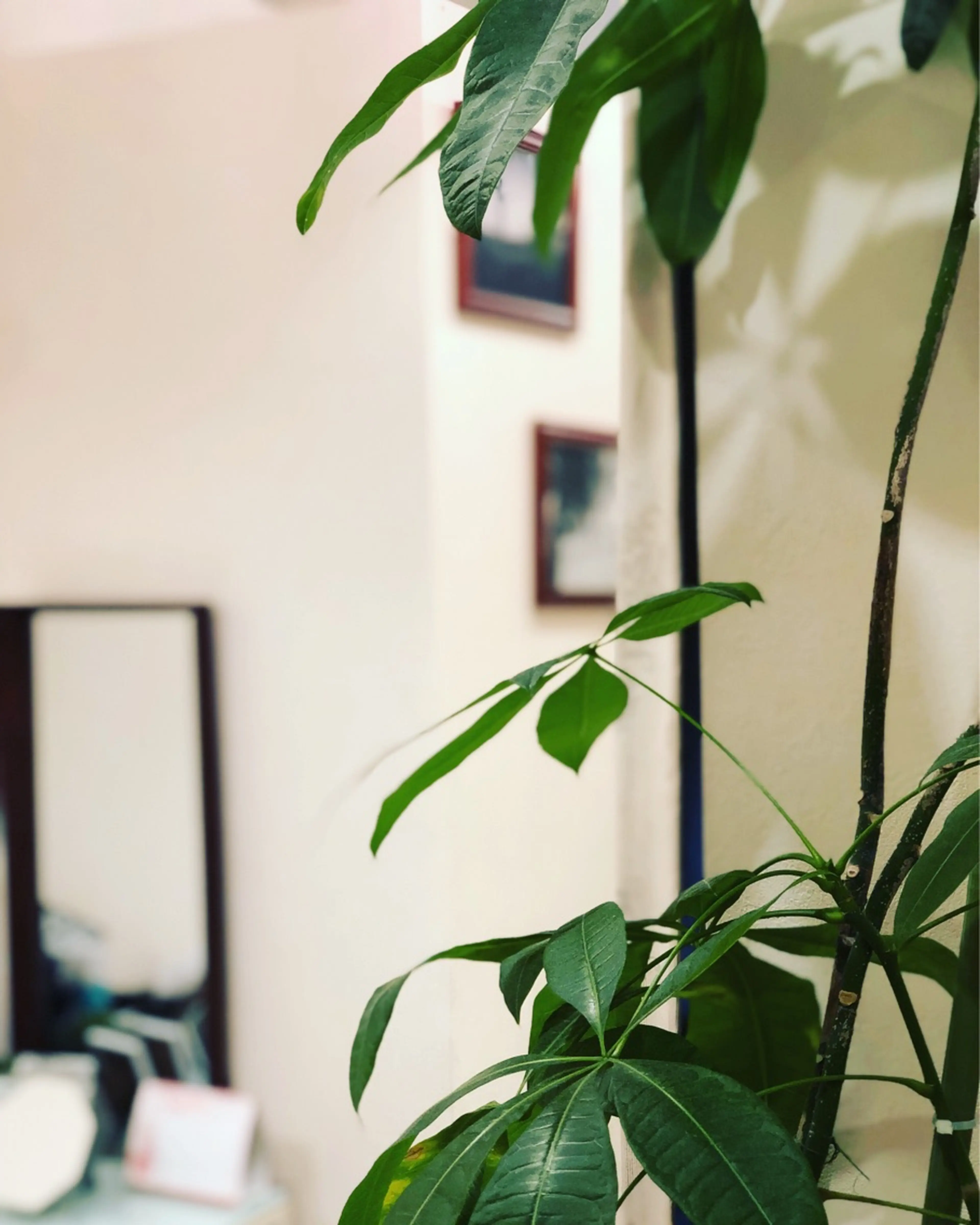 MIRAC脱毛サロンの内観・外観1