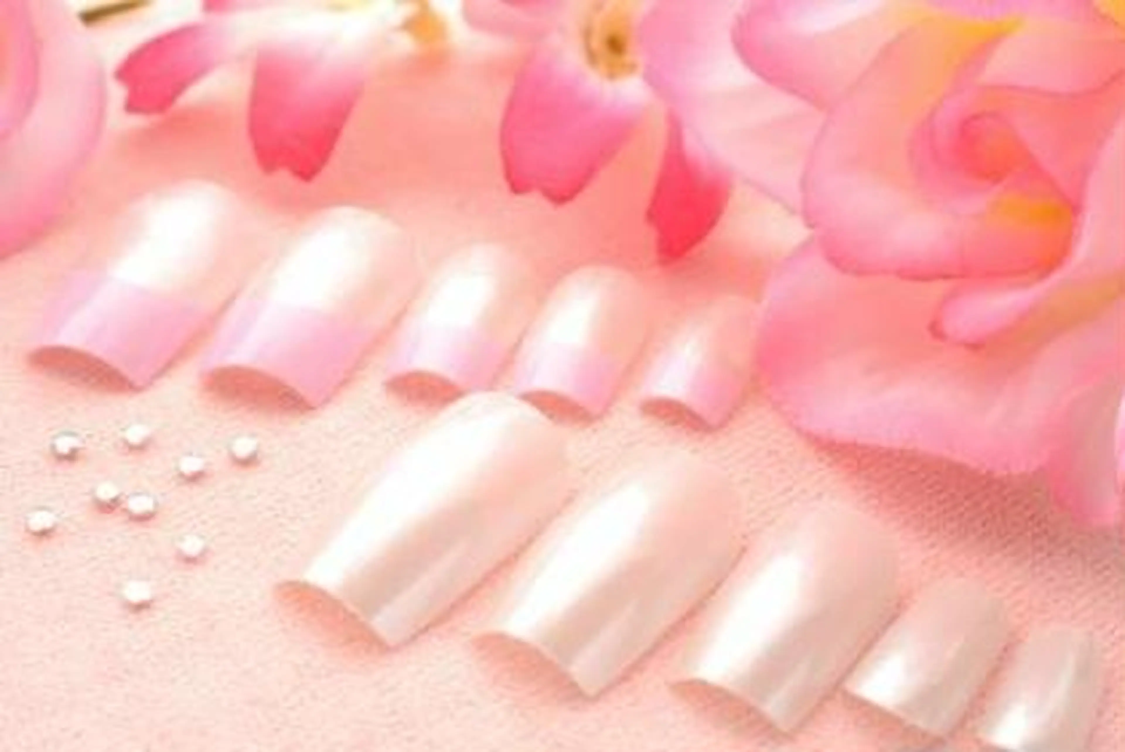 Coco Sheepの内観・外観3