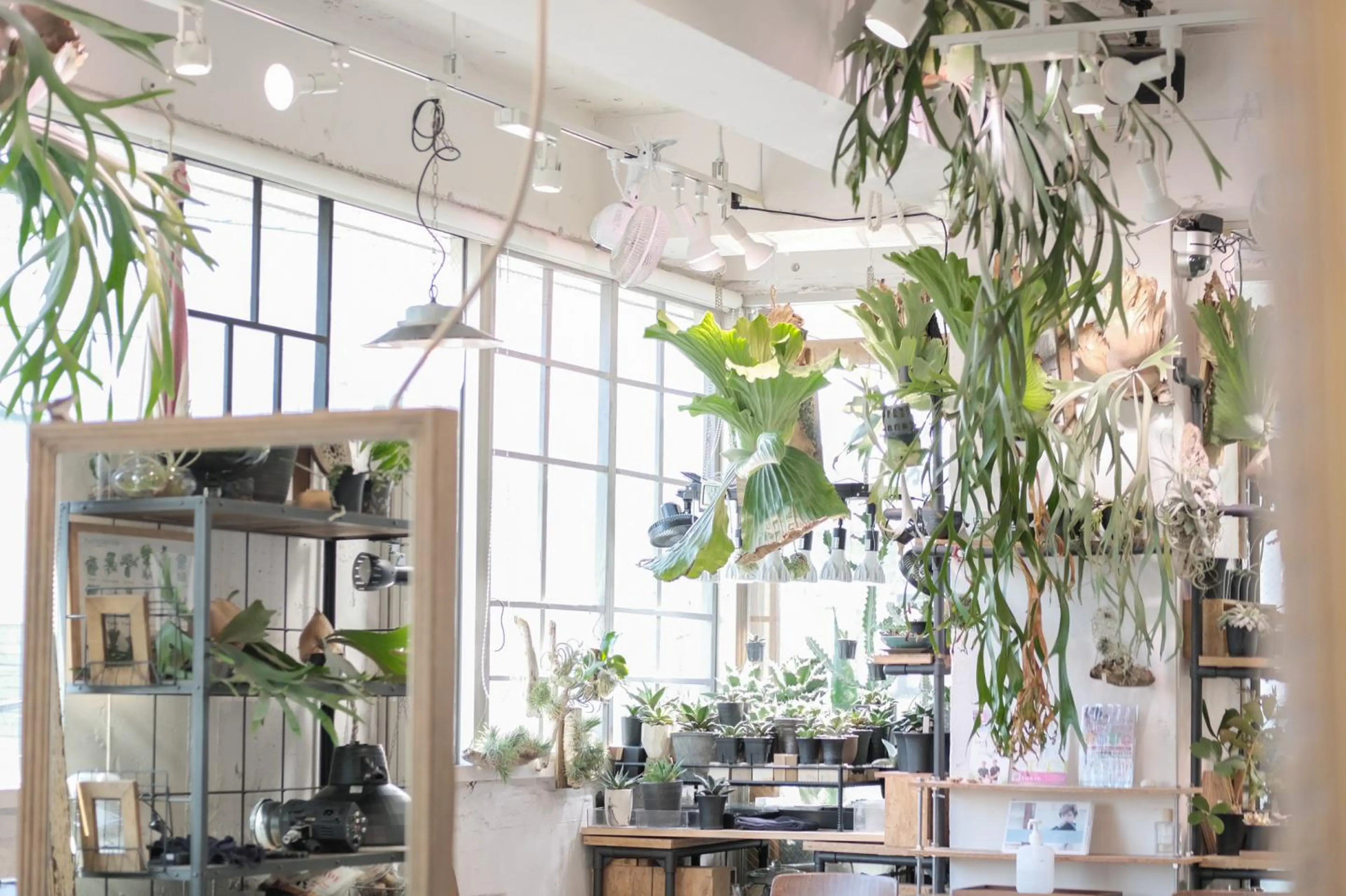 anmani 吉祥寺の内観・外観3