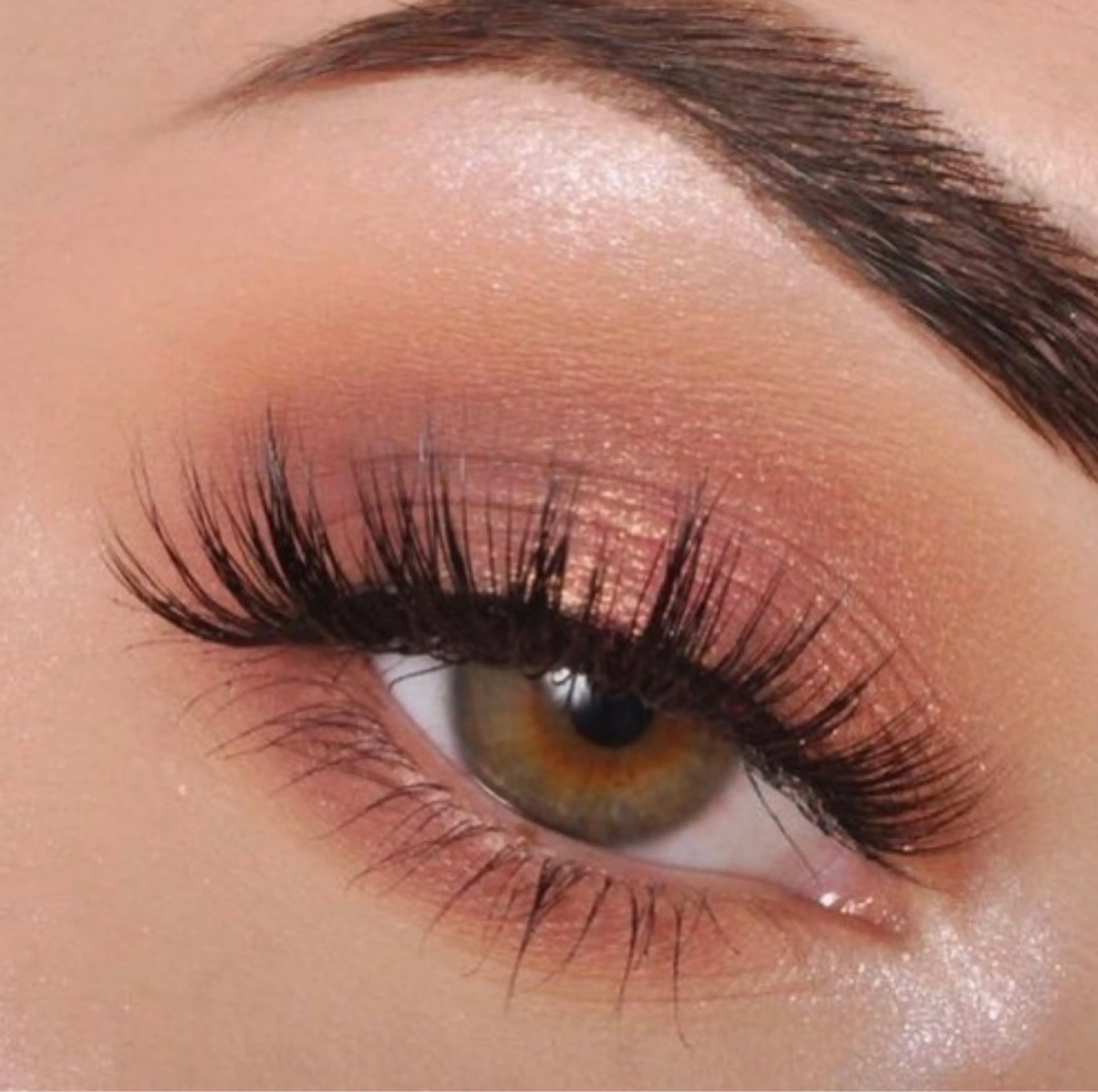 MELREVEの内観・外観3