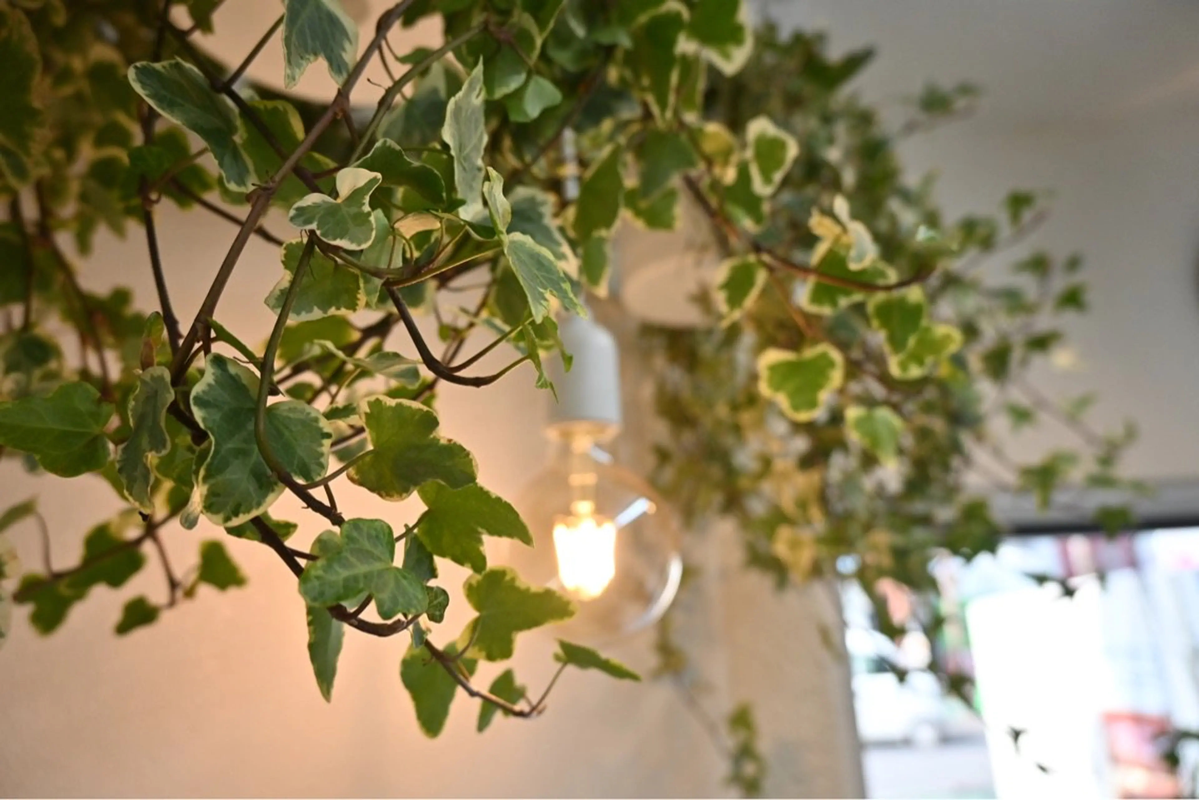 Paul行徳店の内観・外観3