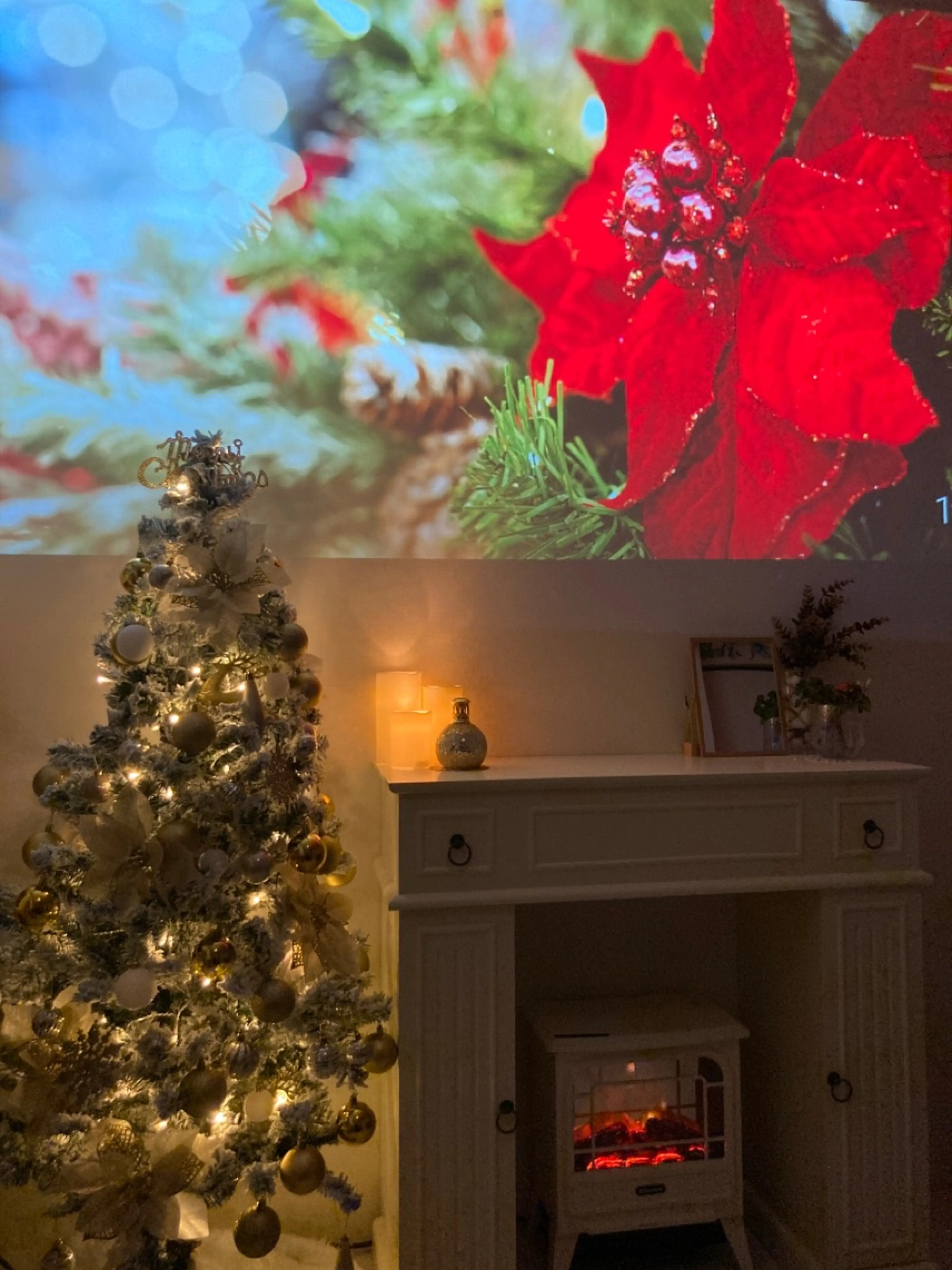 肌質改善×脱毛サロンAlpiniaの内観・外観3