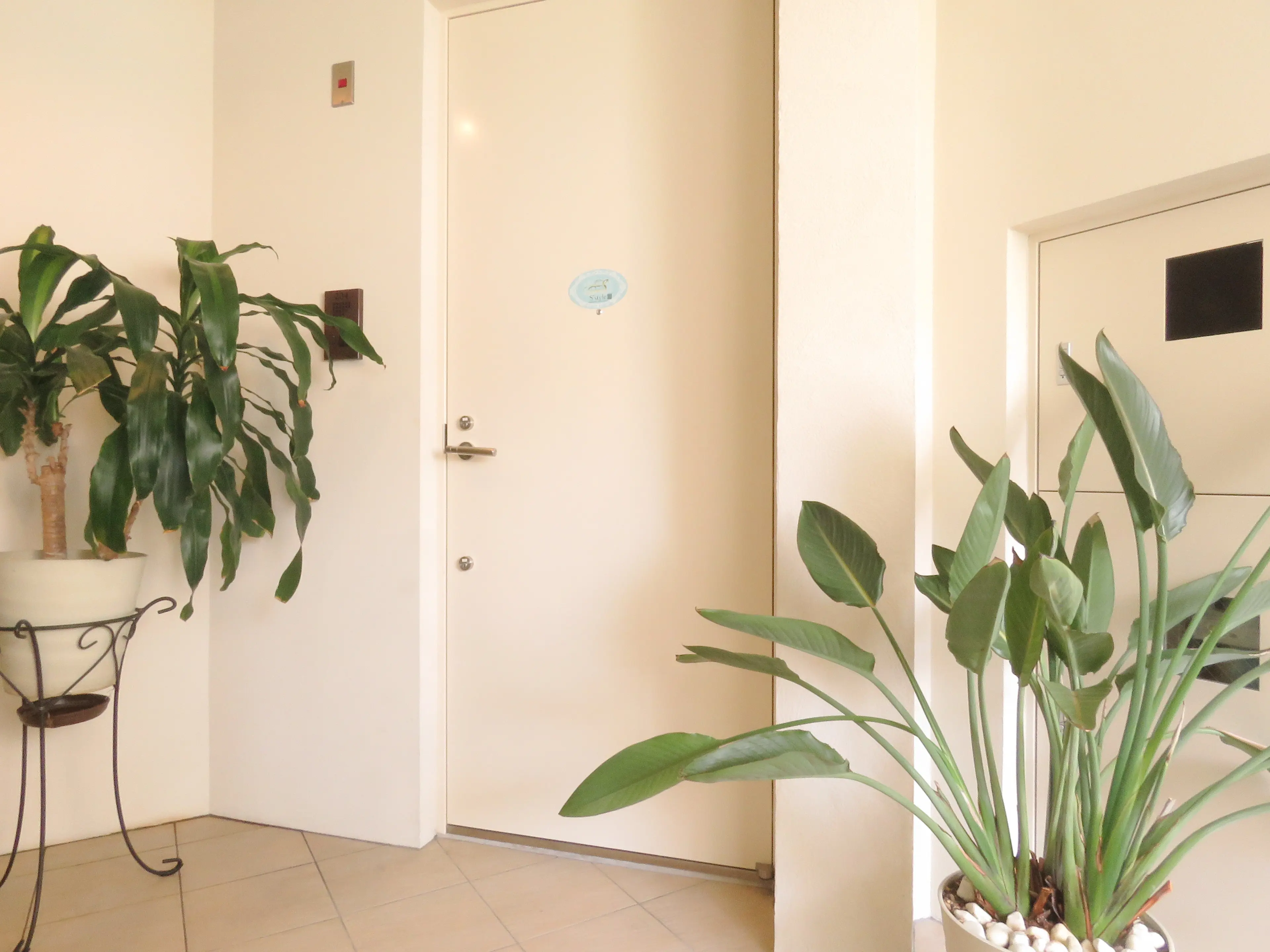 total body make salon エススタイルの内観・外観2