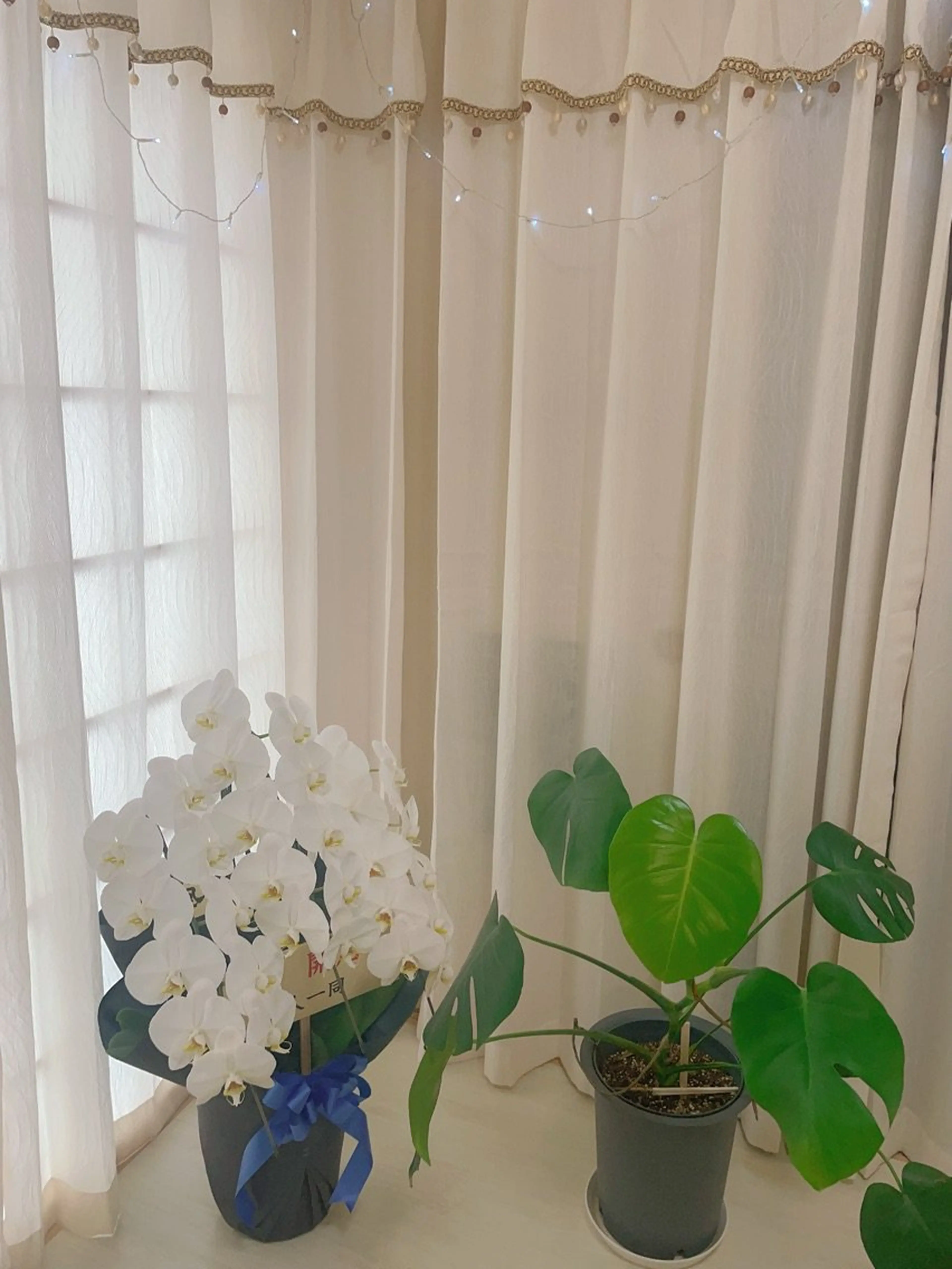 NANA  nailsalonの内観・外観3