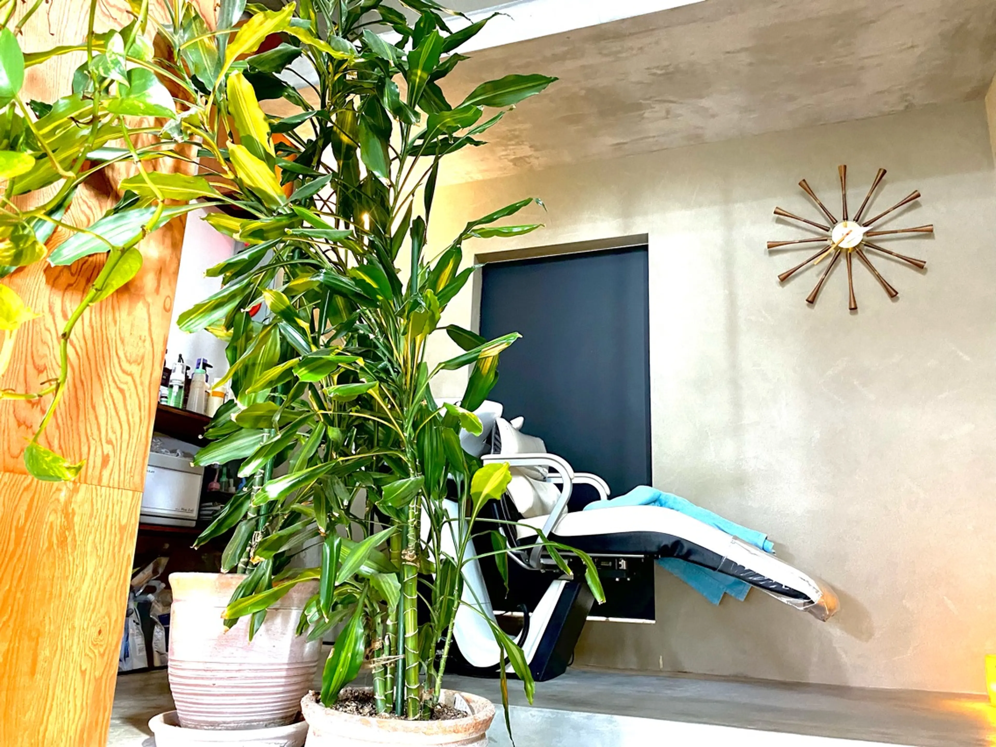 メルクヘアーの内観・外観3