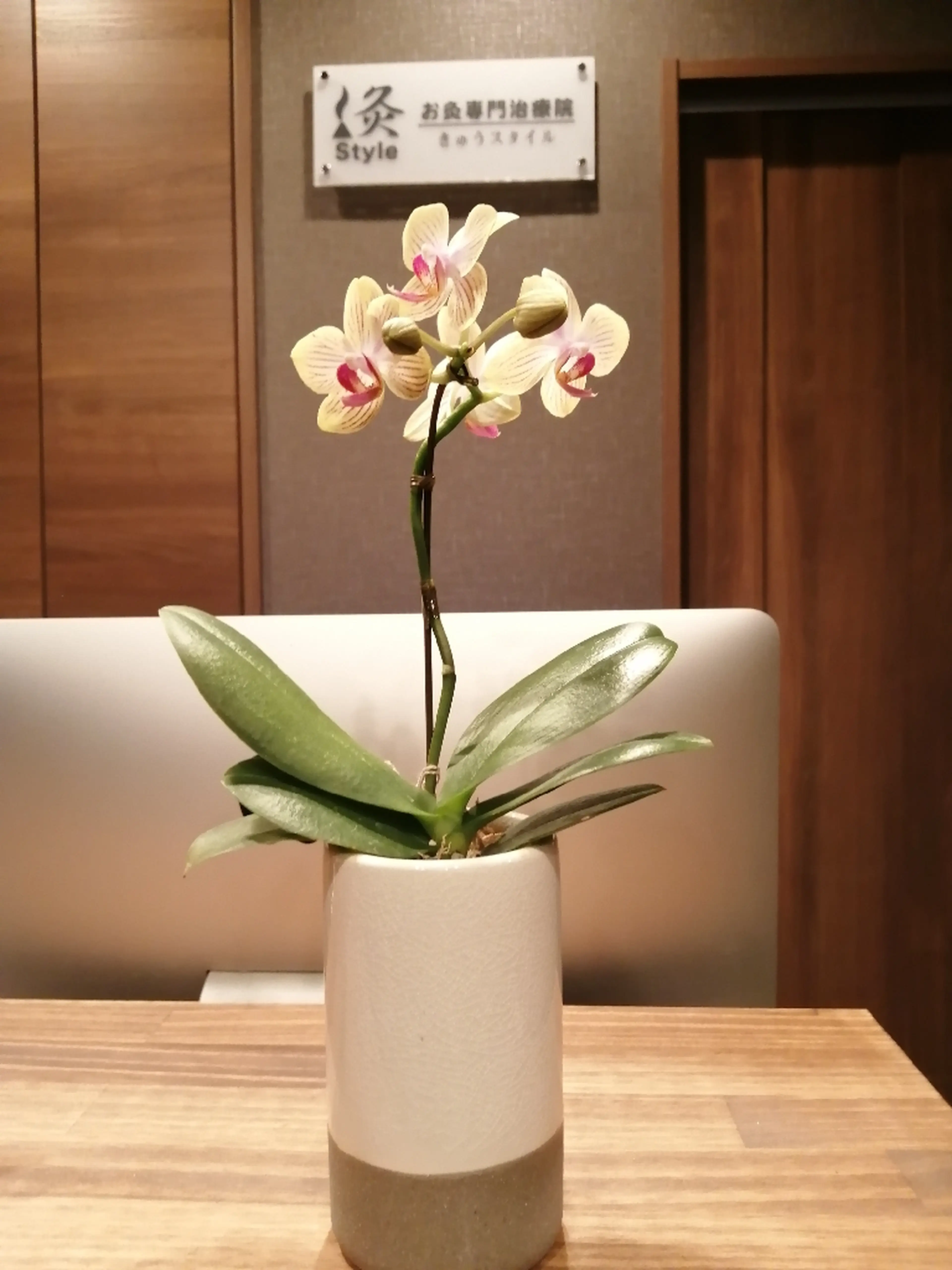 掛川鍼灸治療院 灸Styleの内観・外観3