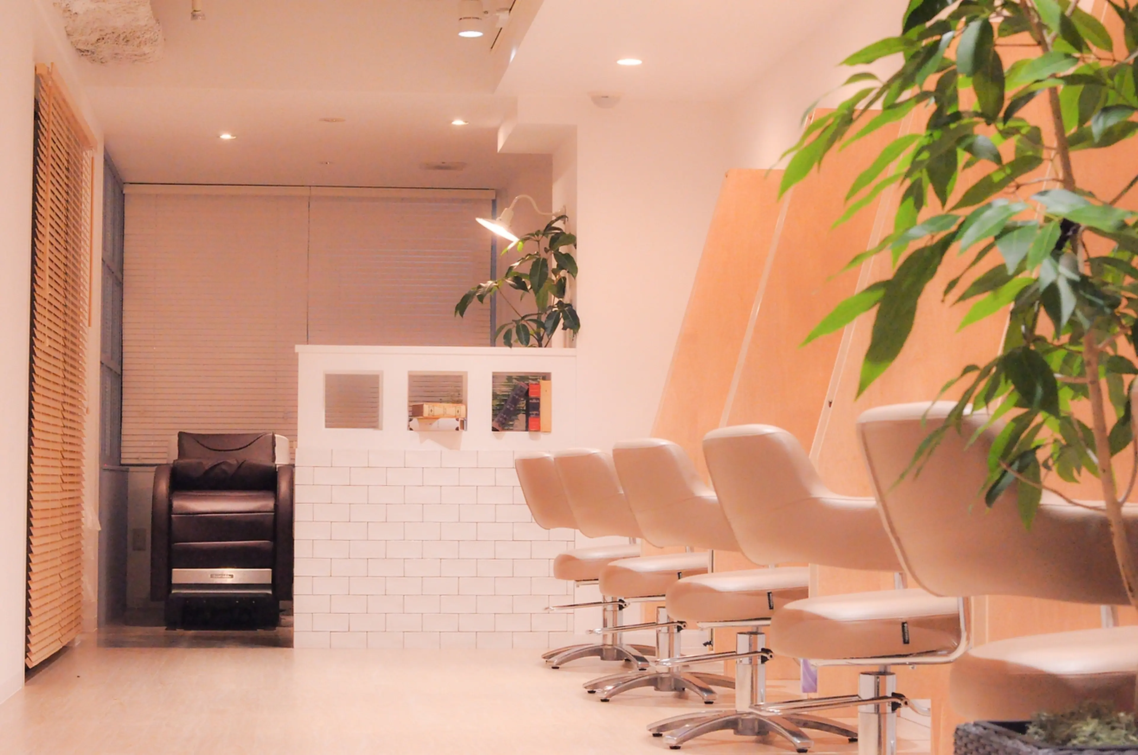 AMPHI  TOKYOの内観・外観2