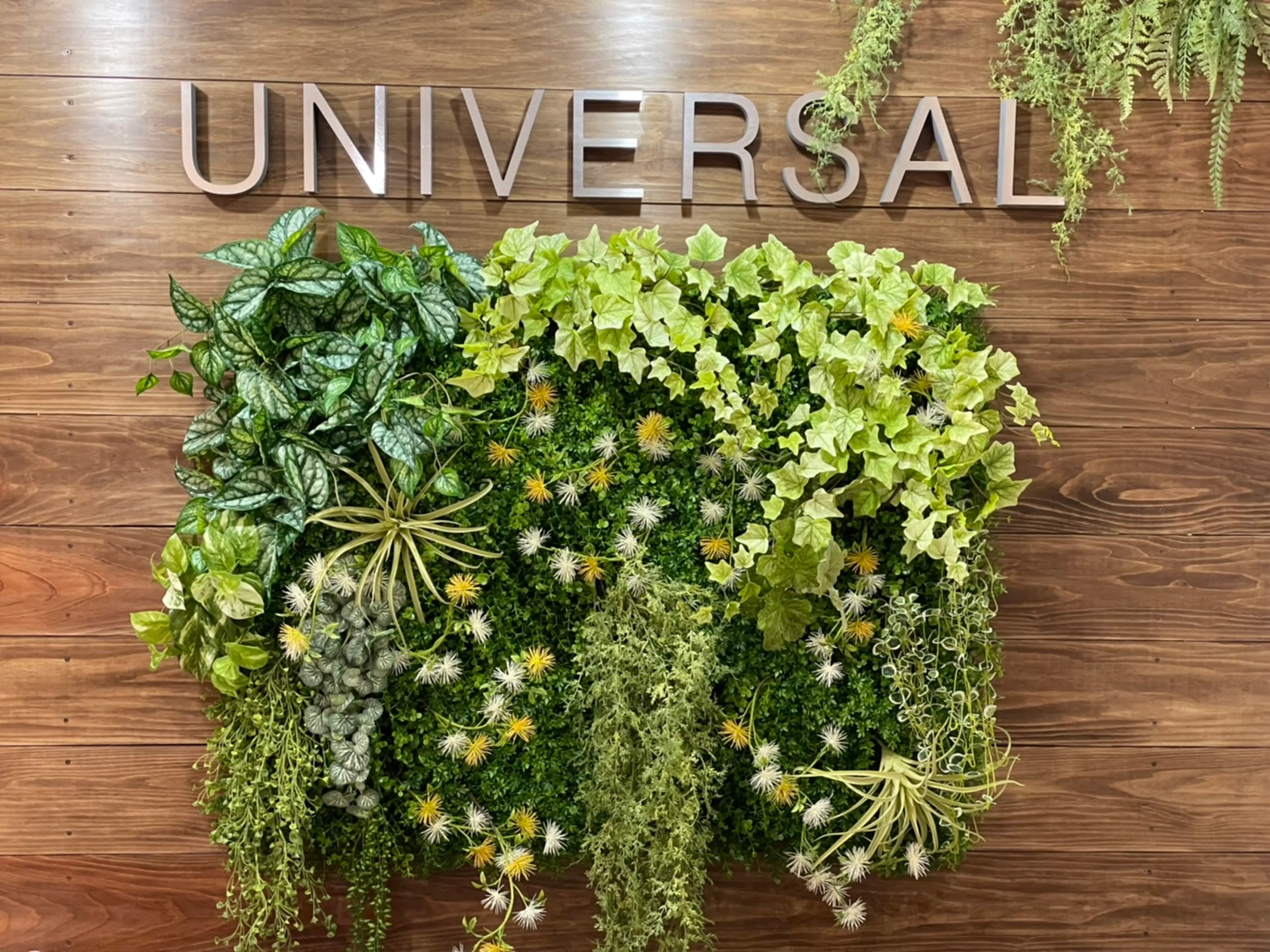 UNIVERSALの内観・外観3