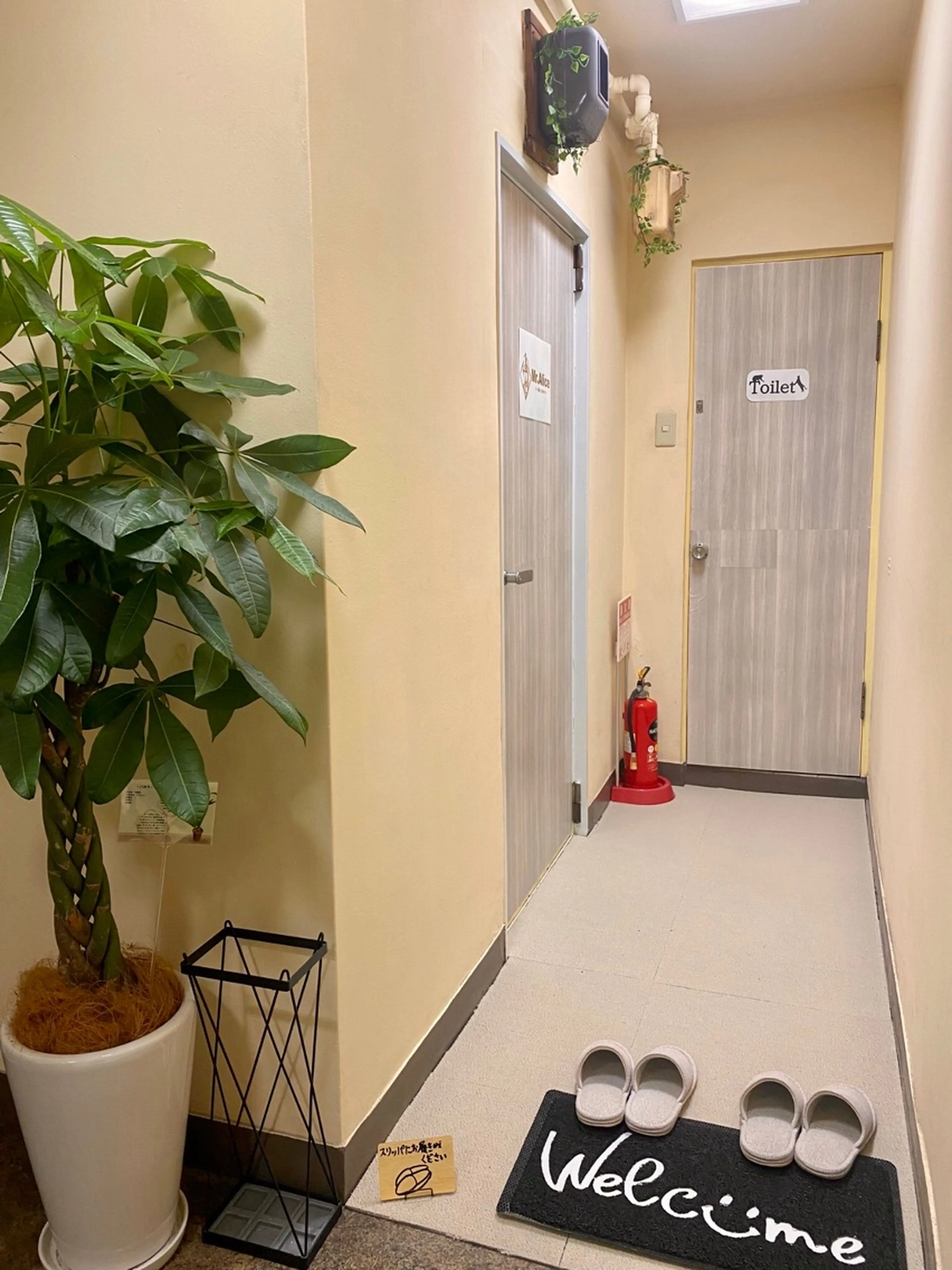 Mr.Aliceの内観・外観3