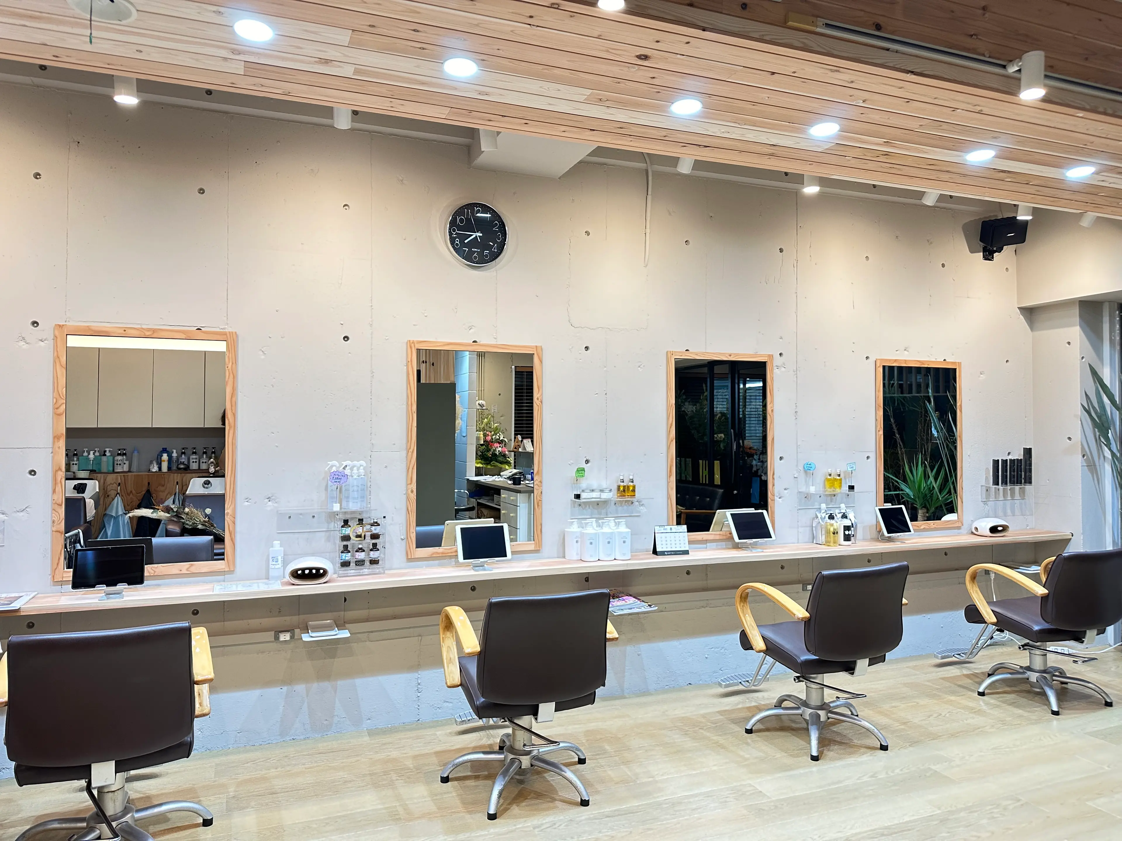 オリーブオイルクラブの内観・外観1