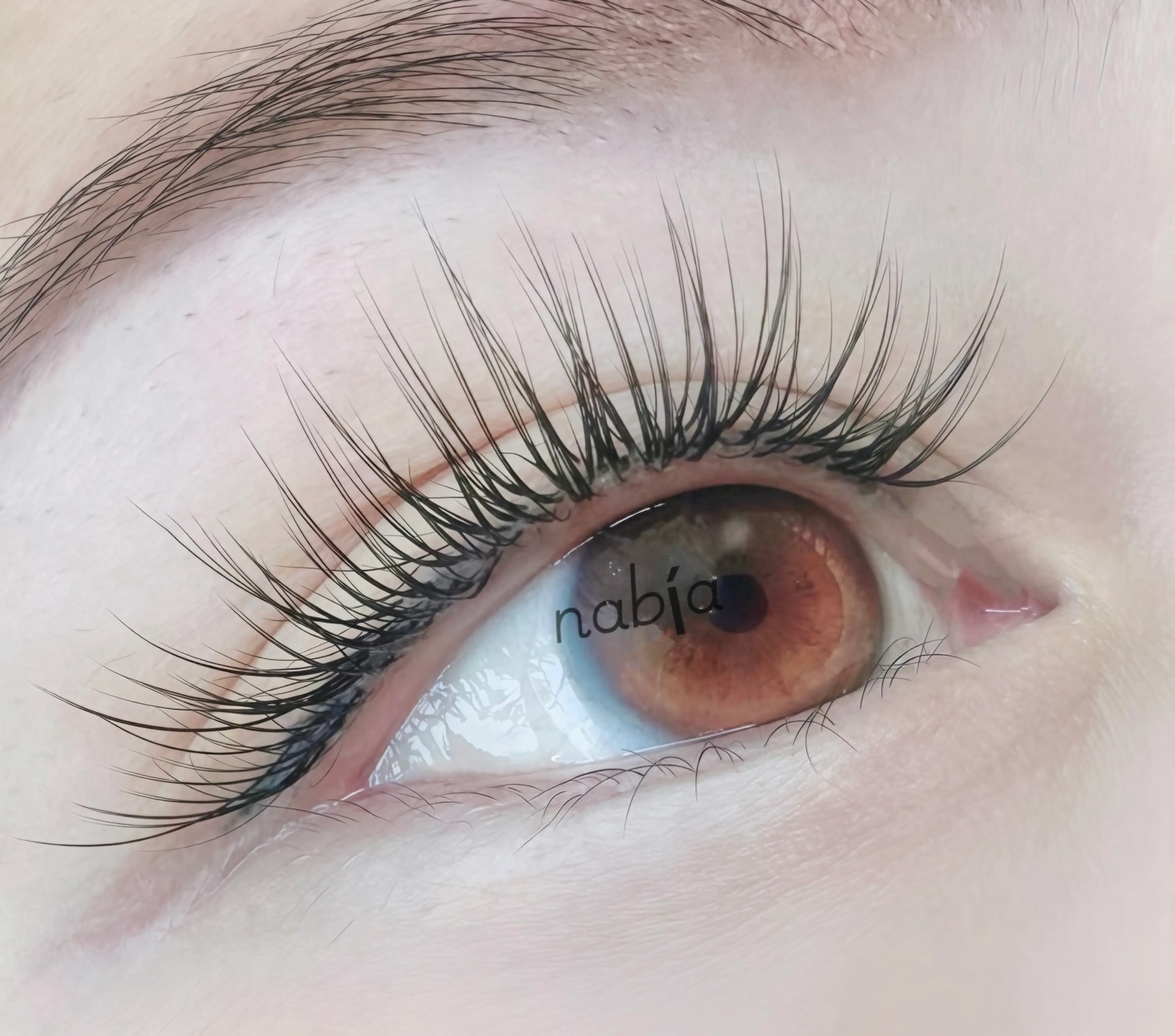 nabíaの内観・外観3