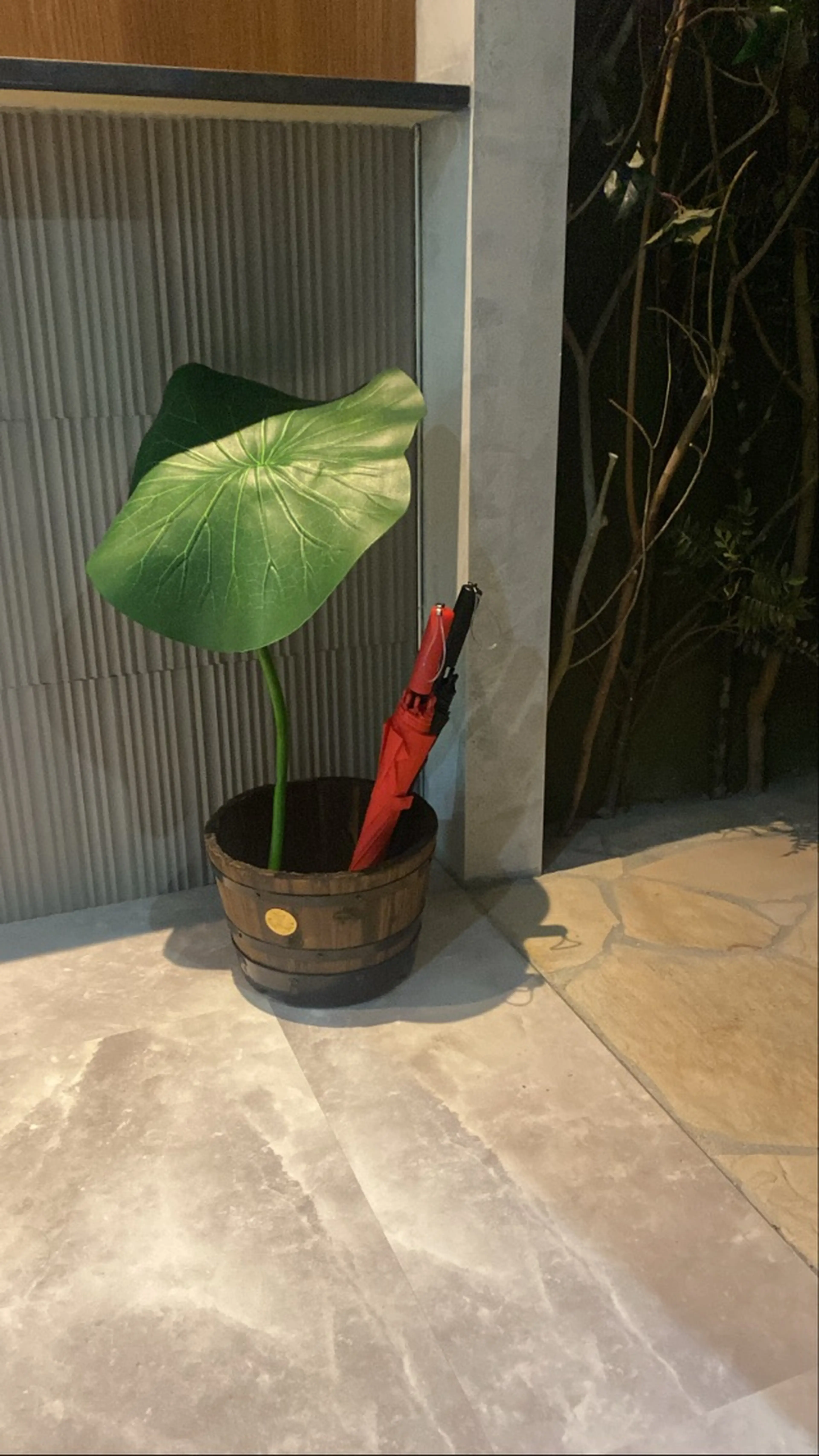 森の雨やどりの内観・外観3