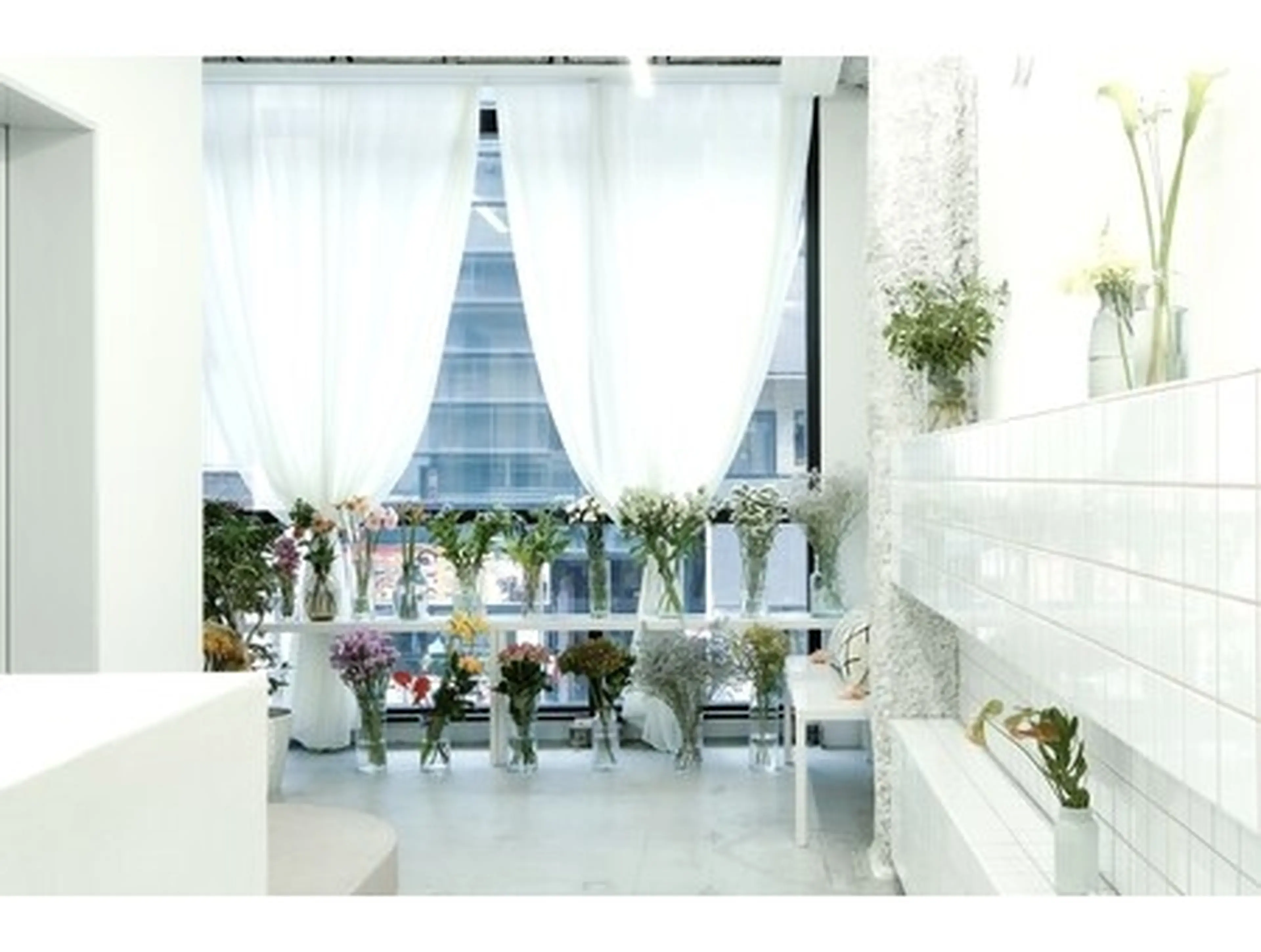 mallow eveの内観・外観2