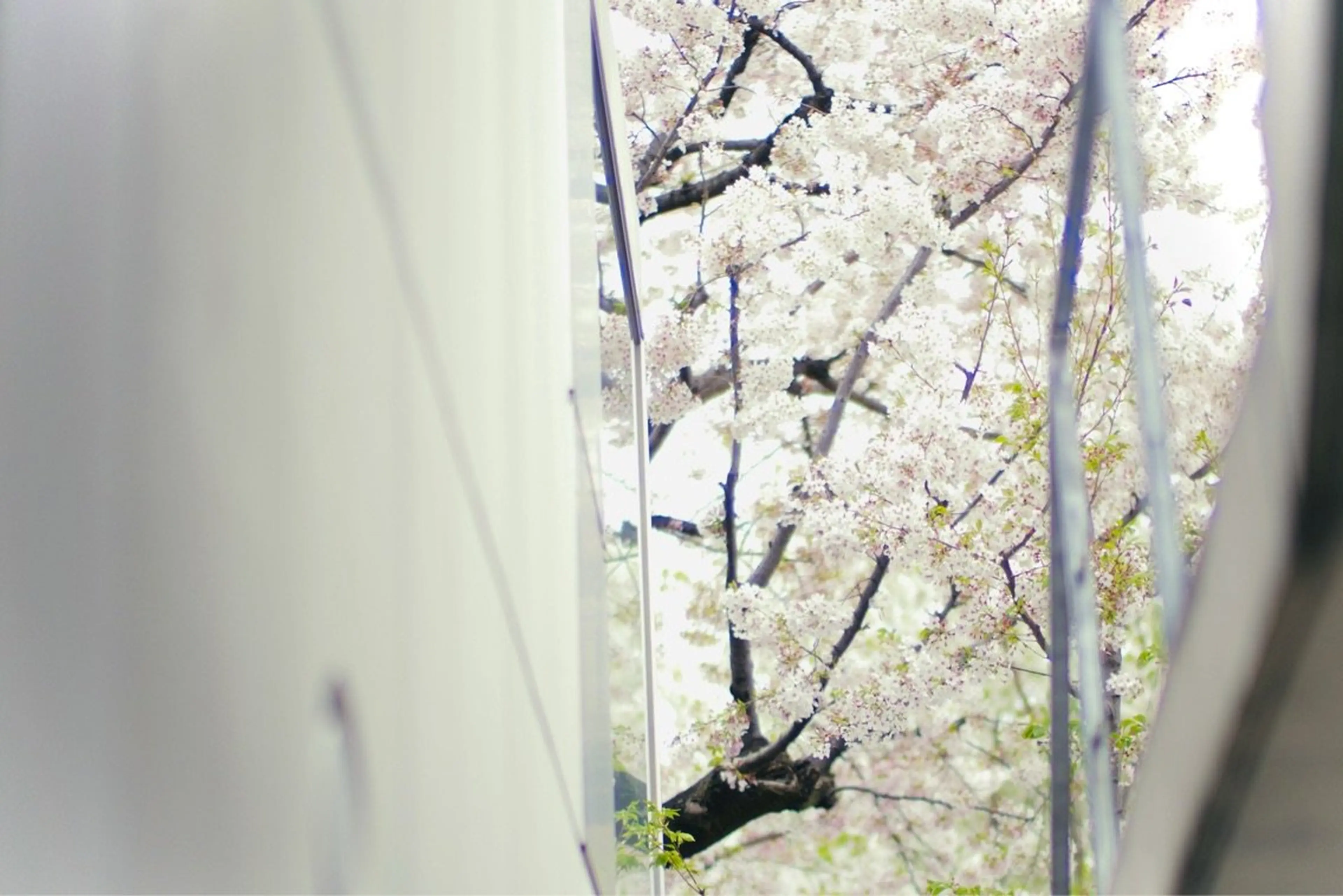 耳ツボ （イヤービューティセラピー®）温活サロン　flow labの内観・外観1