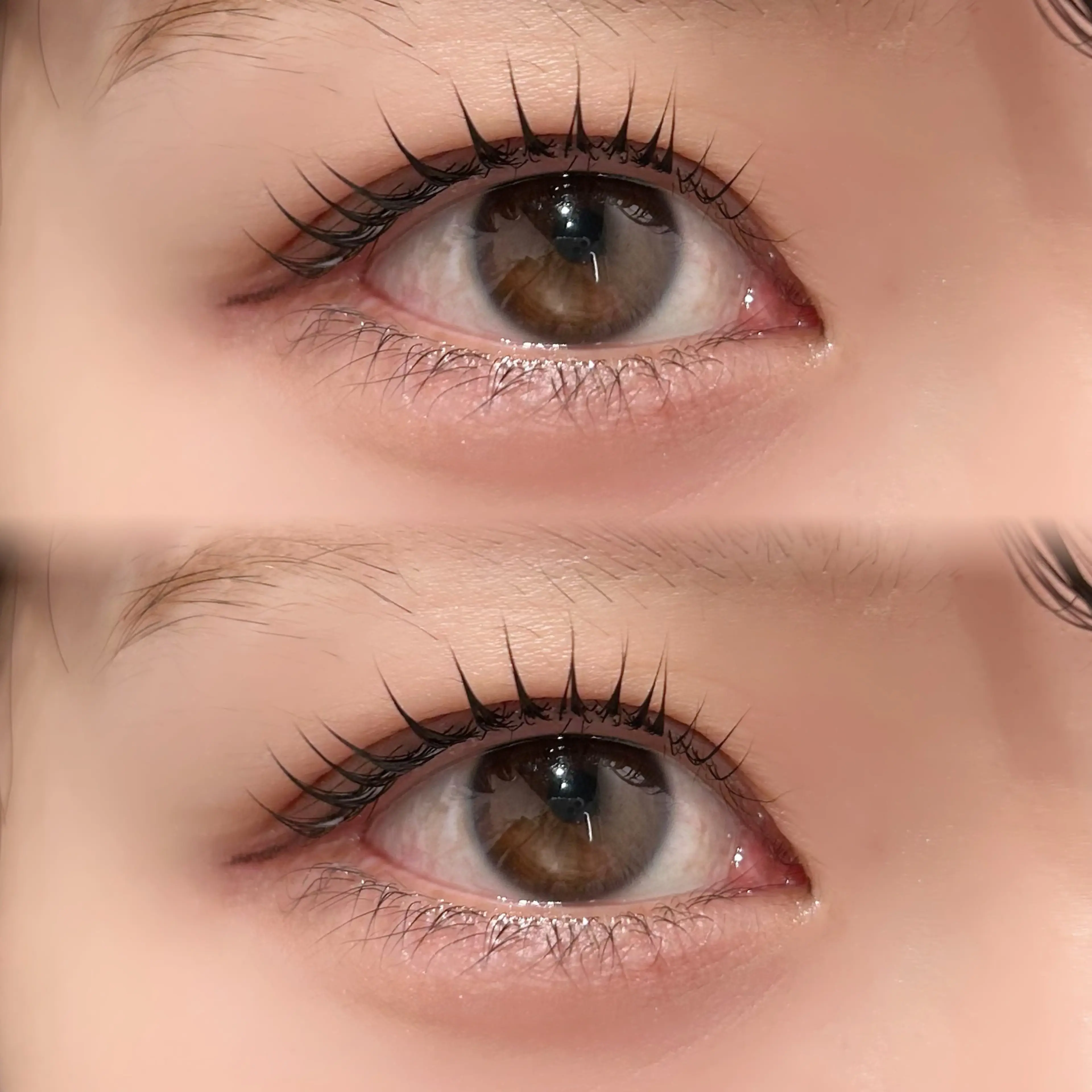 BELME cielの内観・外観2