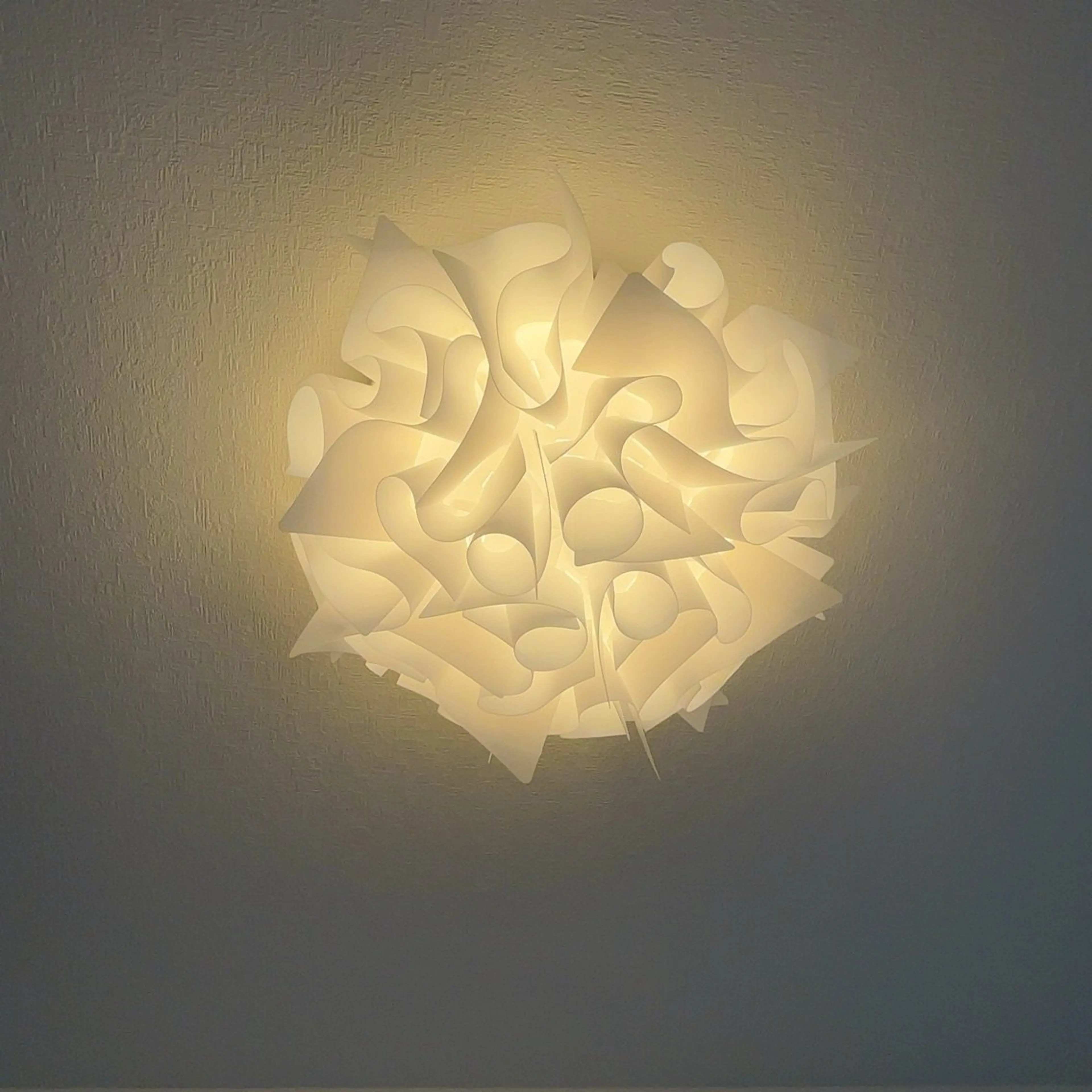 non nailの内観・外観2