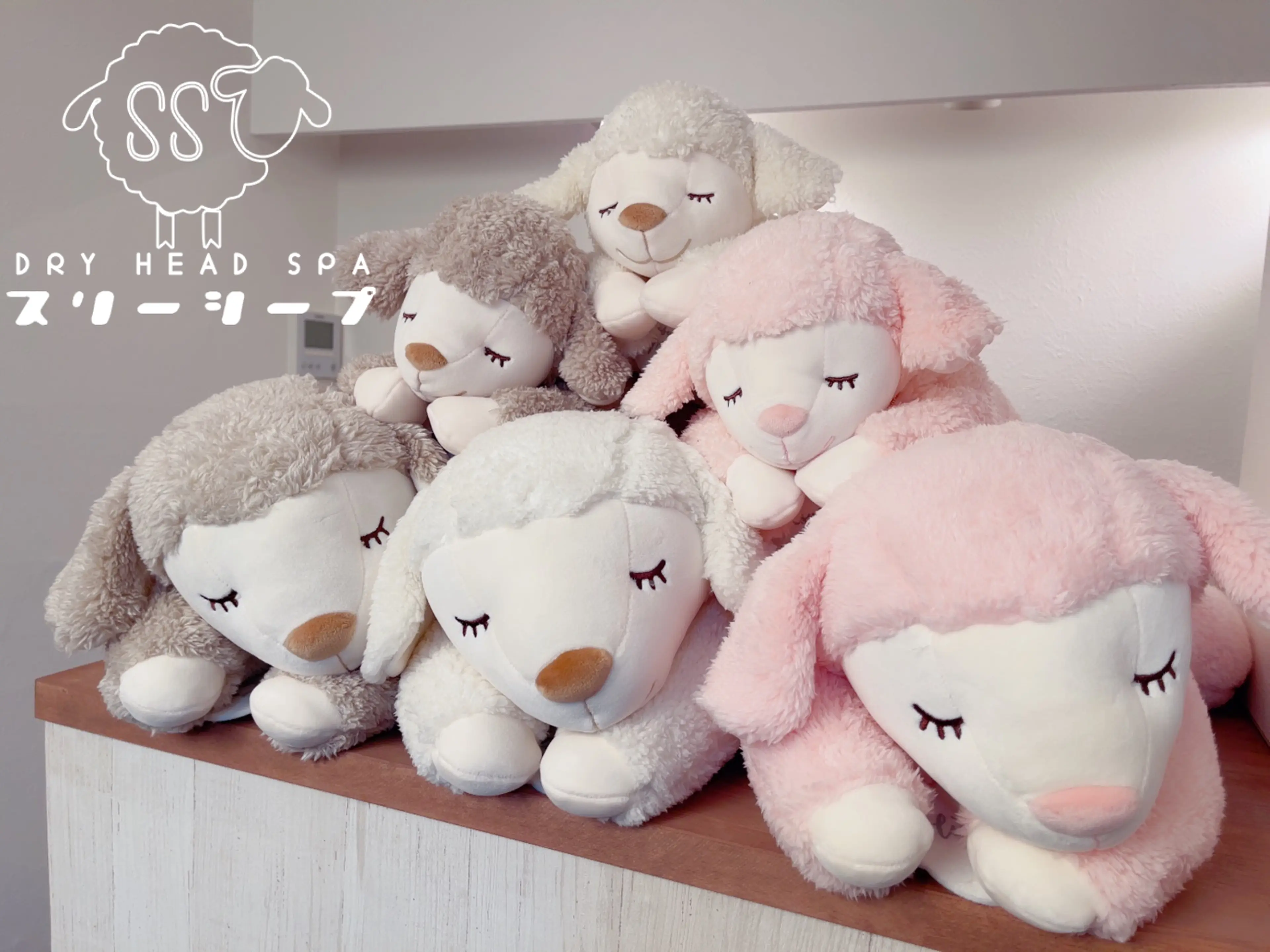 本格揉みほぐし×ドライヘッドスパ専門店スリーシープの内観・外観2