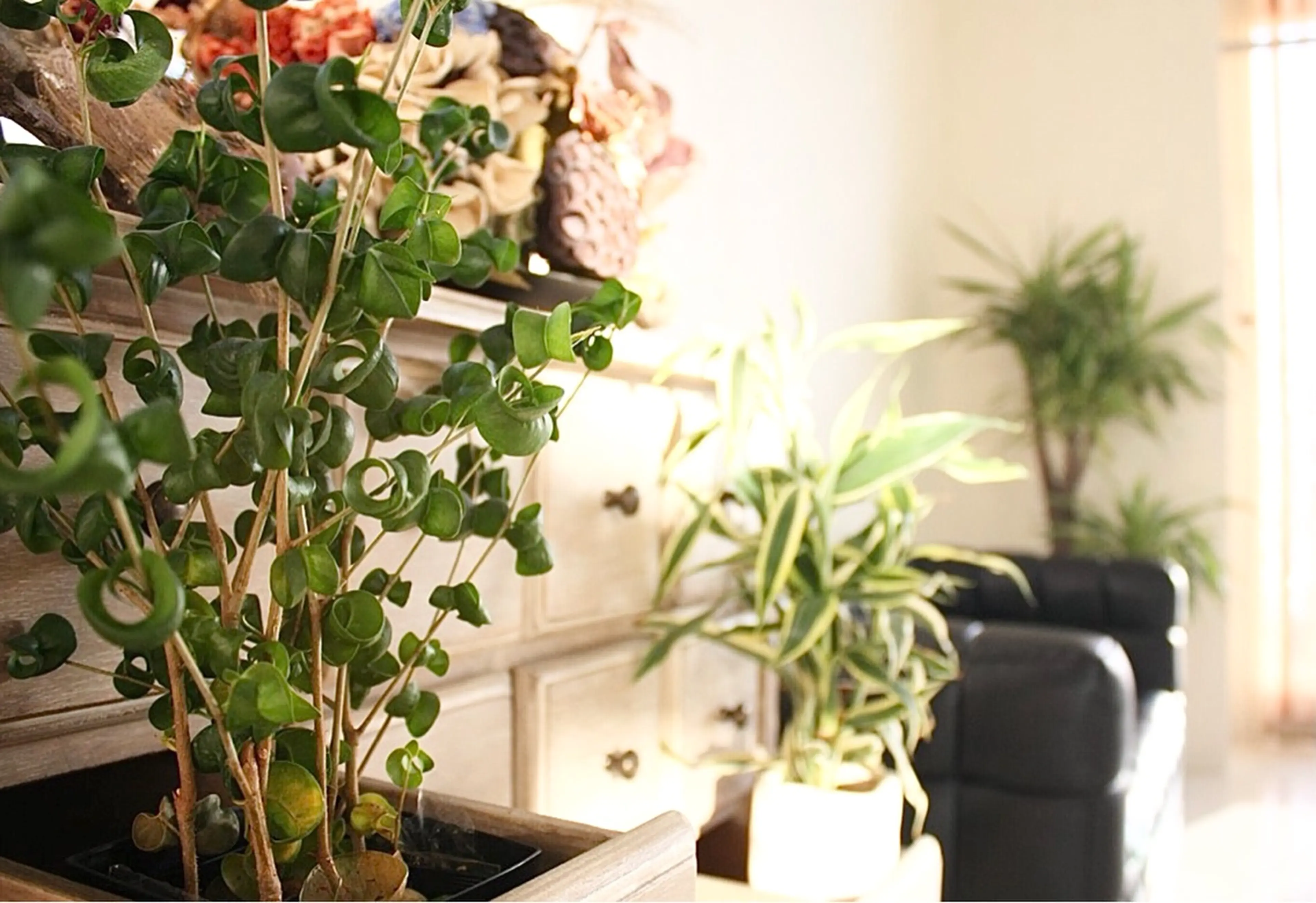 Dali 発寒南店の内観・外観3