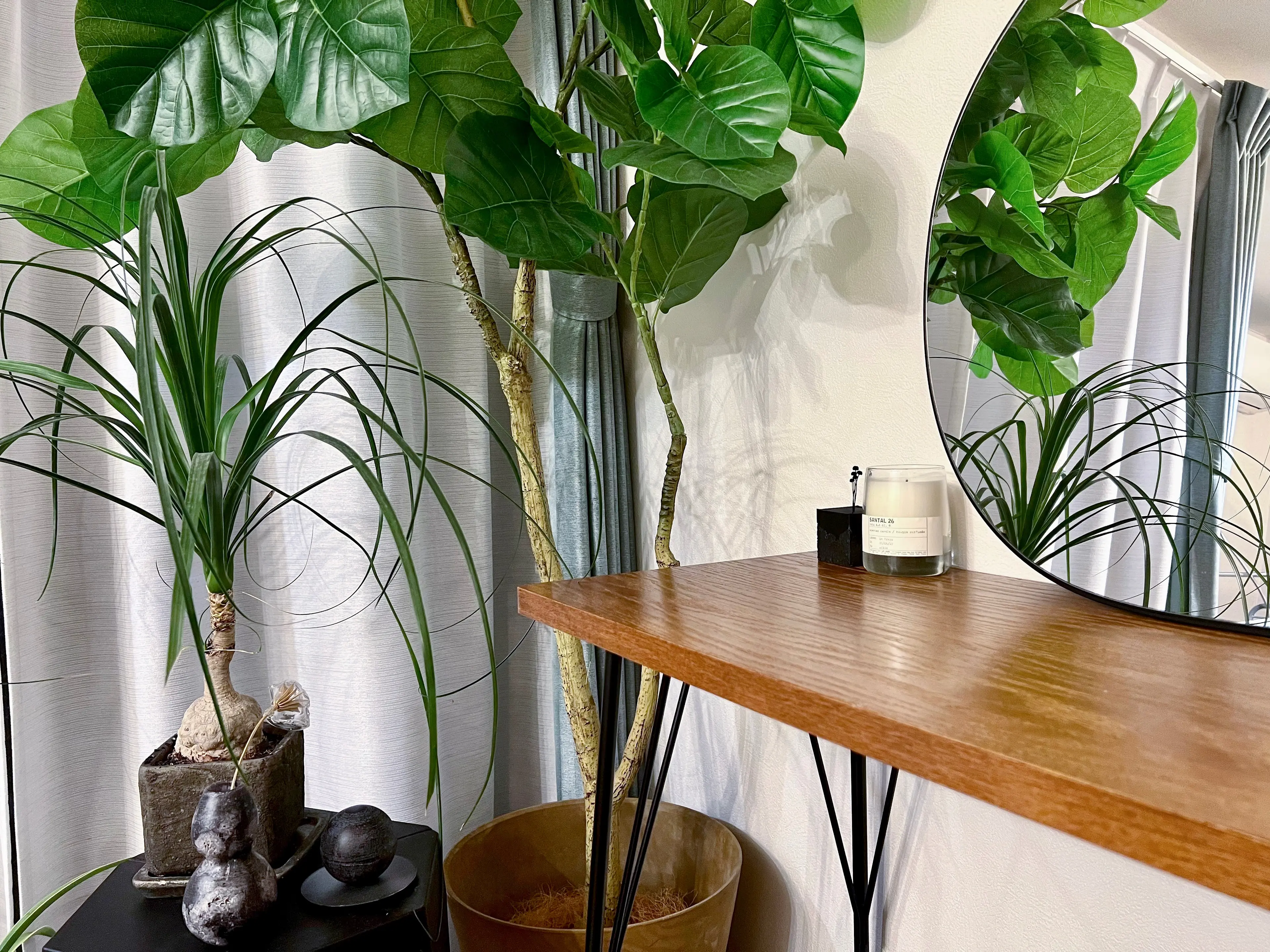 hitam 睫毛/眉毛の内観・外観1