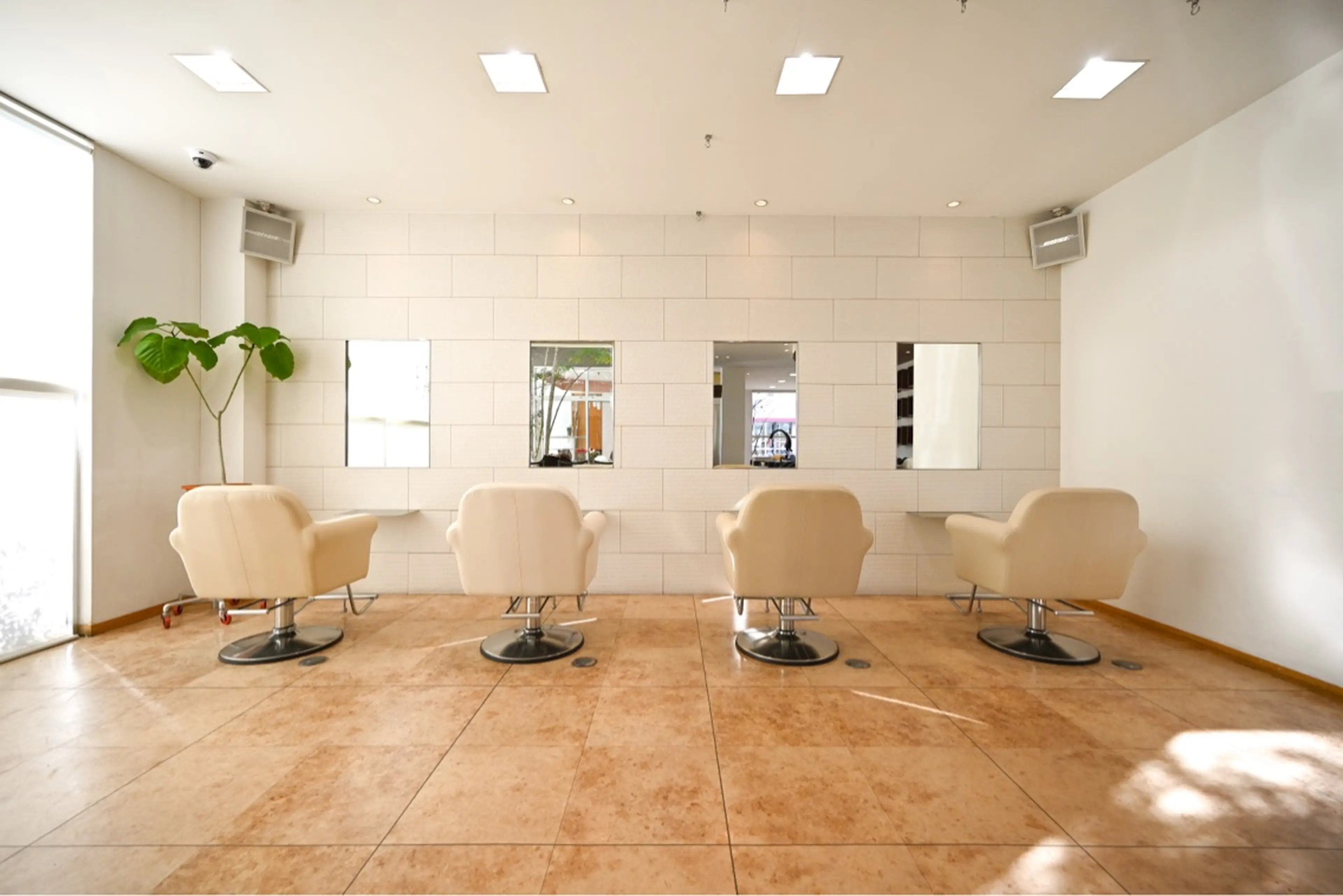 GALLARIA Elegante 緑の内観・外観2