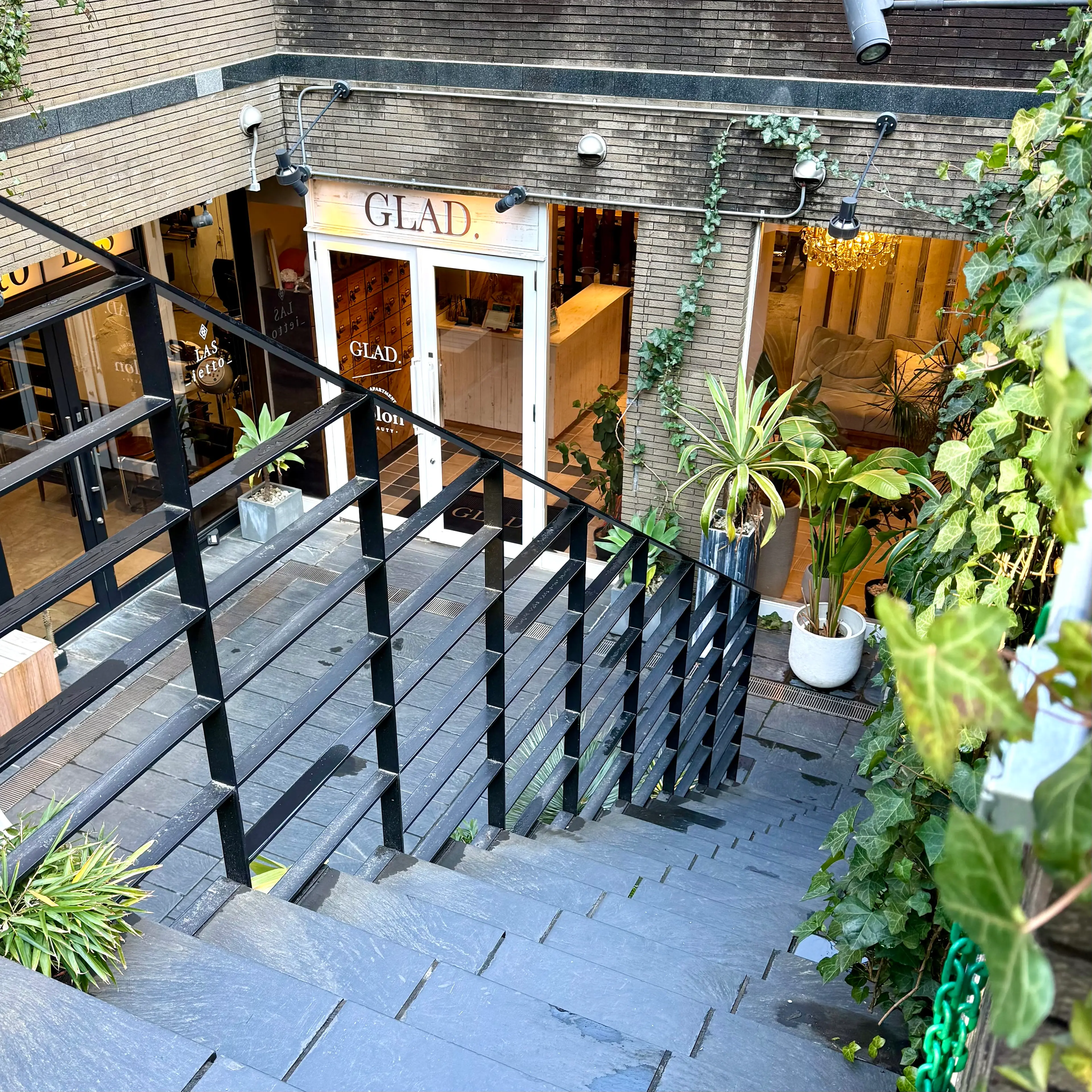 N5の内観・外観3