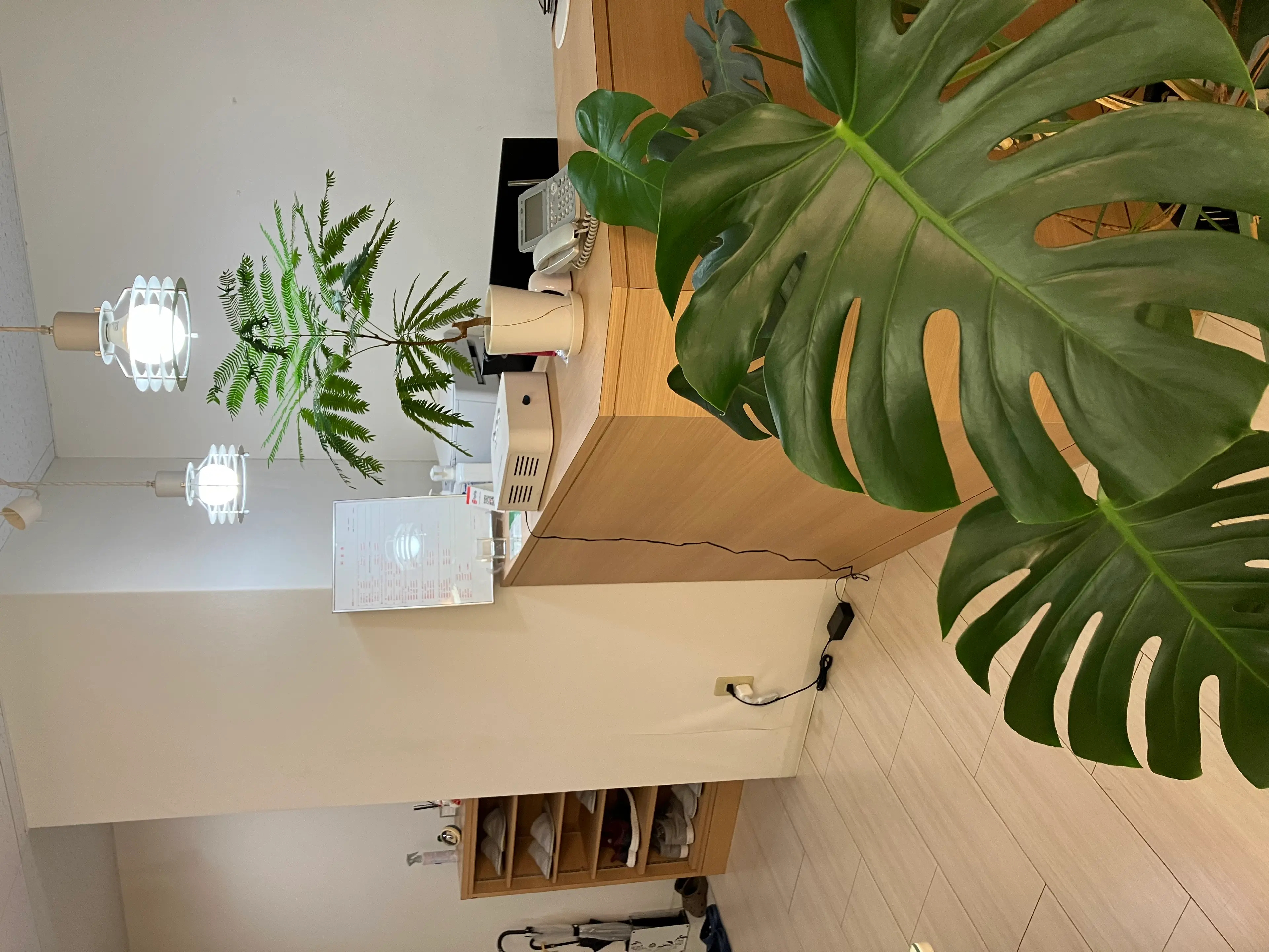 桃李満天下の内観・外観2