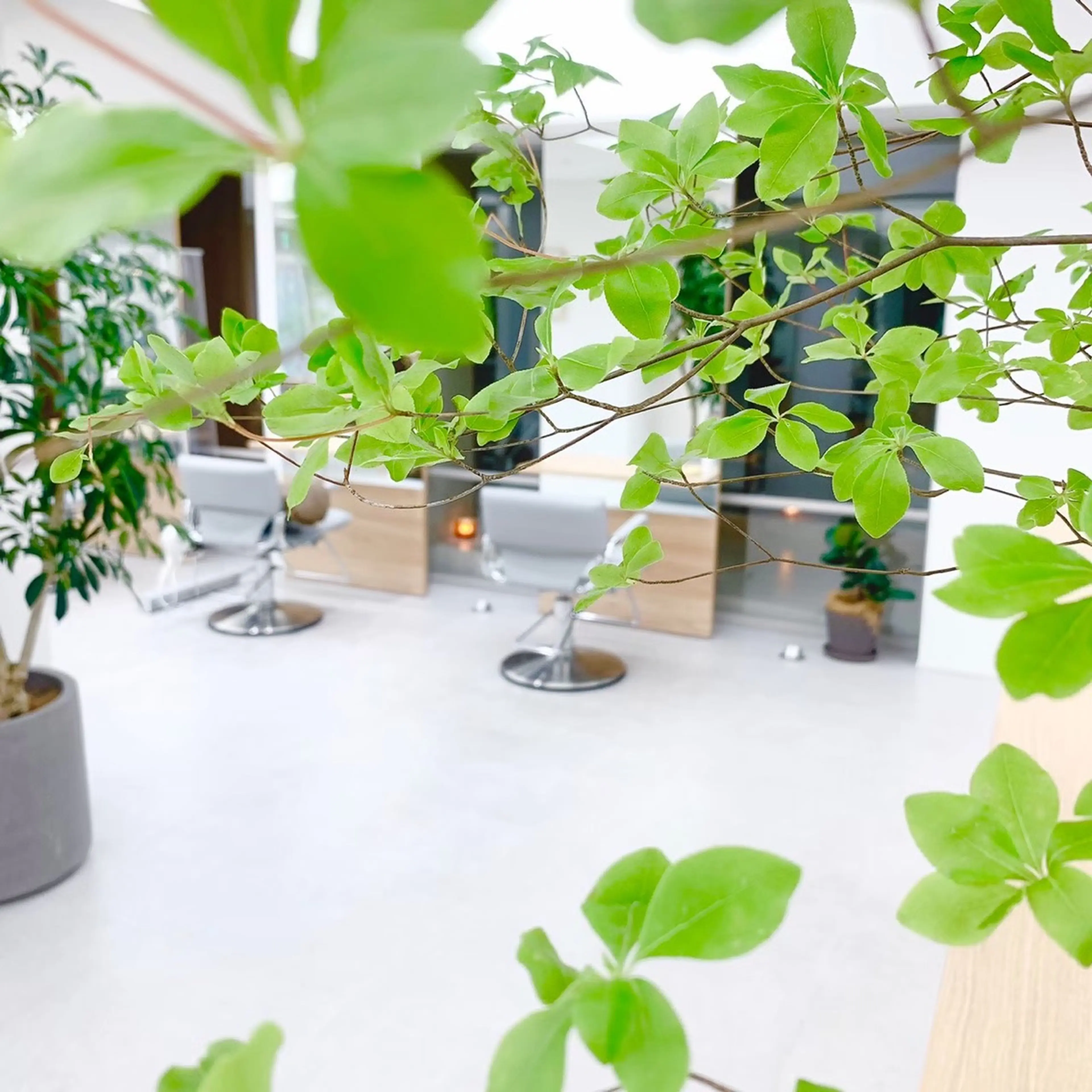 Beautism Elmの内観・外観2