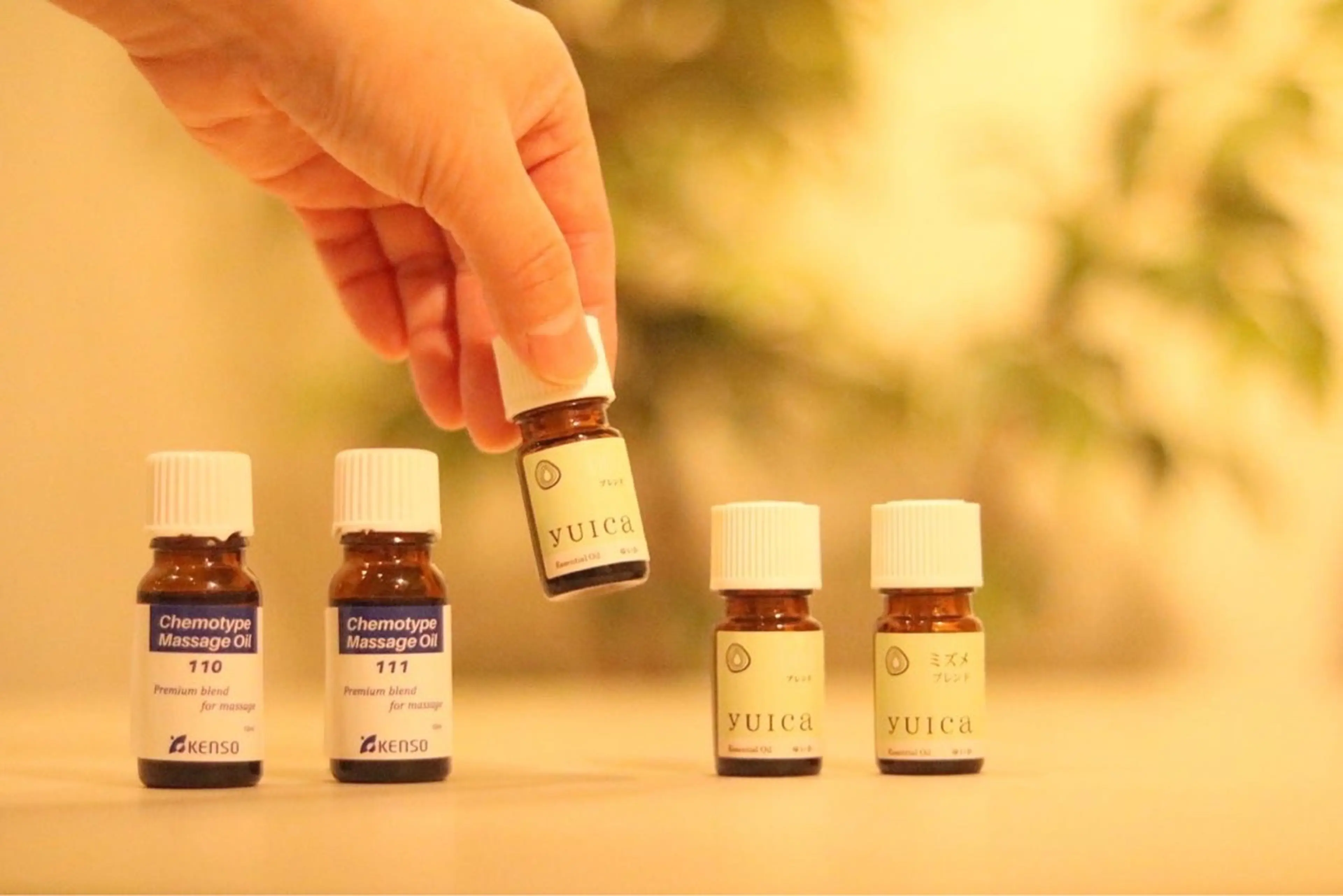 フェリーチェ＋の内観・外観3