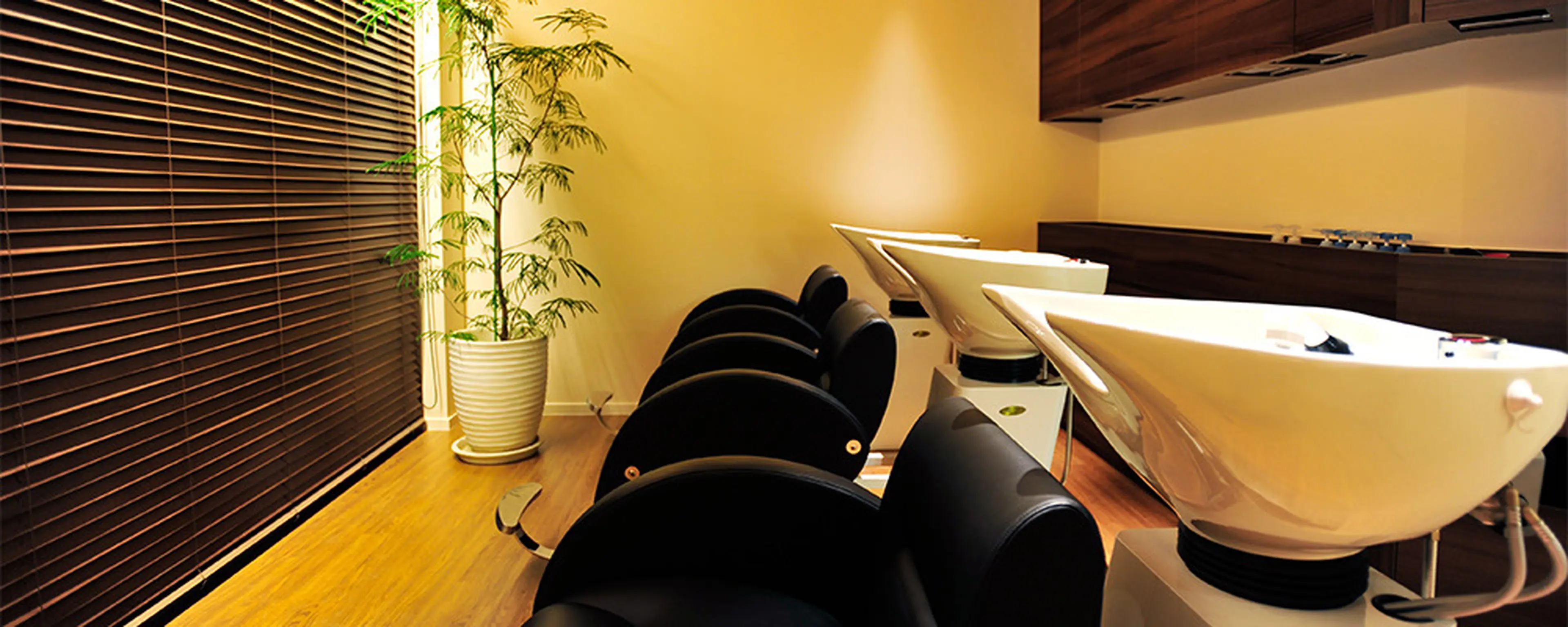 ラシェンテリセ西宮の内観・外観3