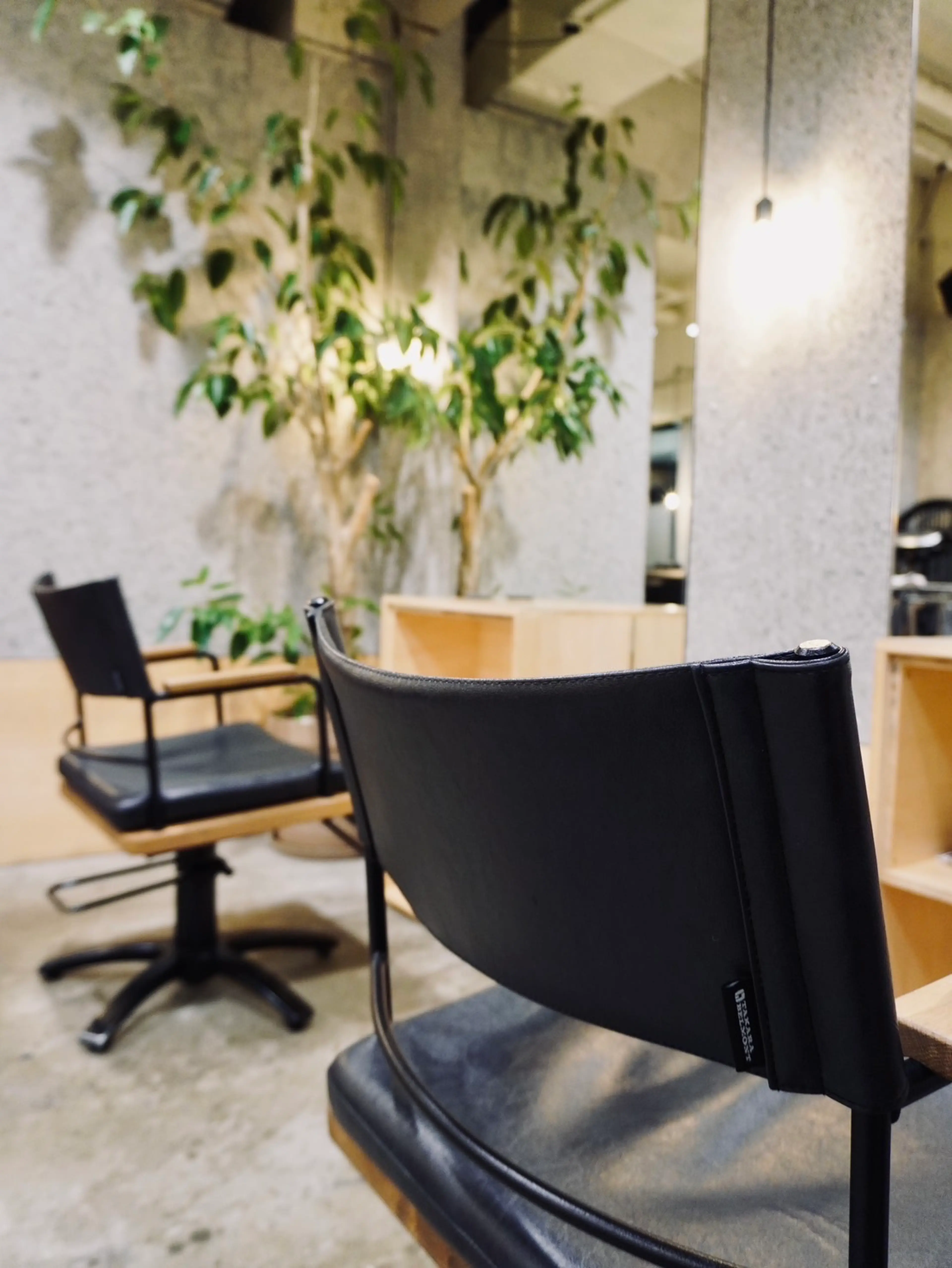 commonの内観・外観2