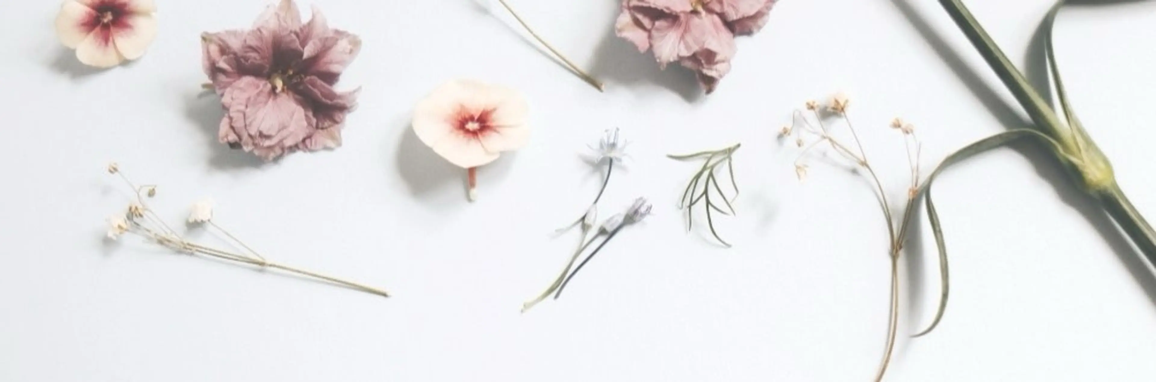 HMhair home 池袋店の内観・外観1