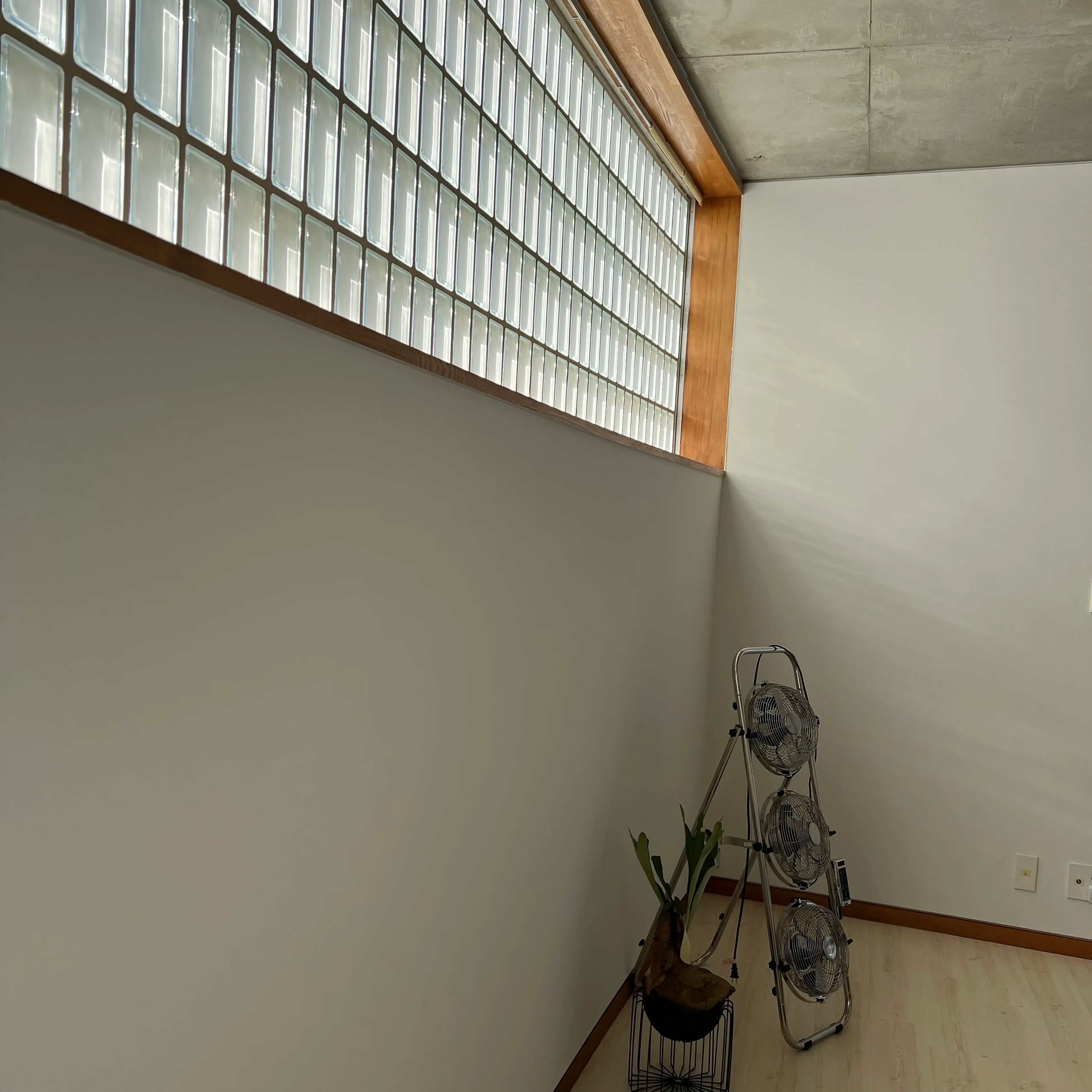 ヤポの内観・外観3