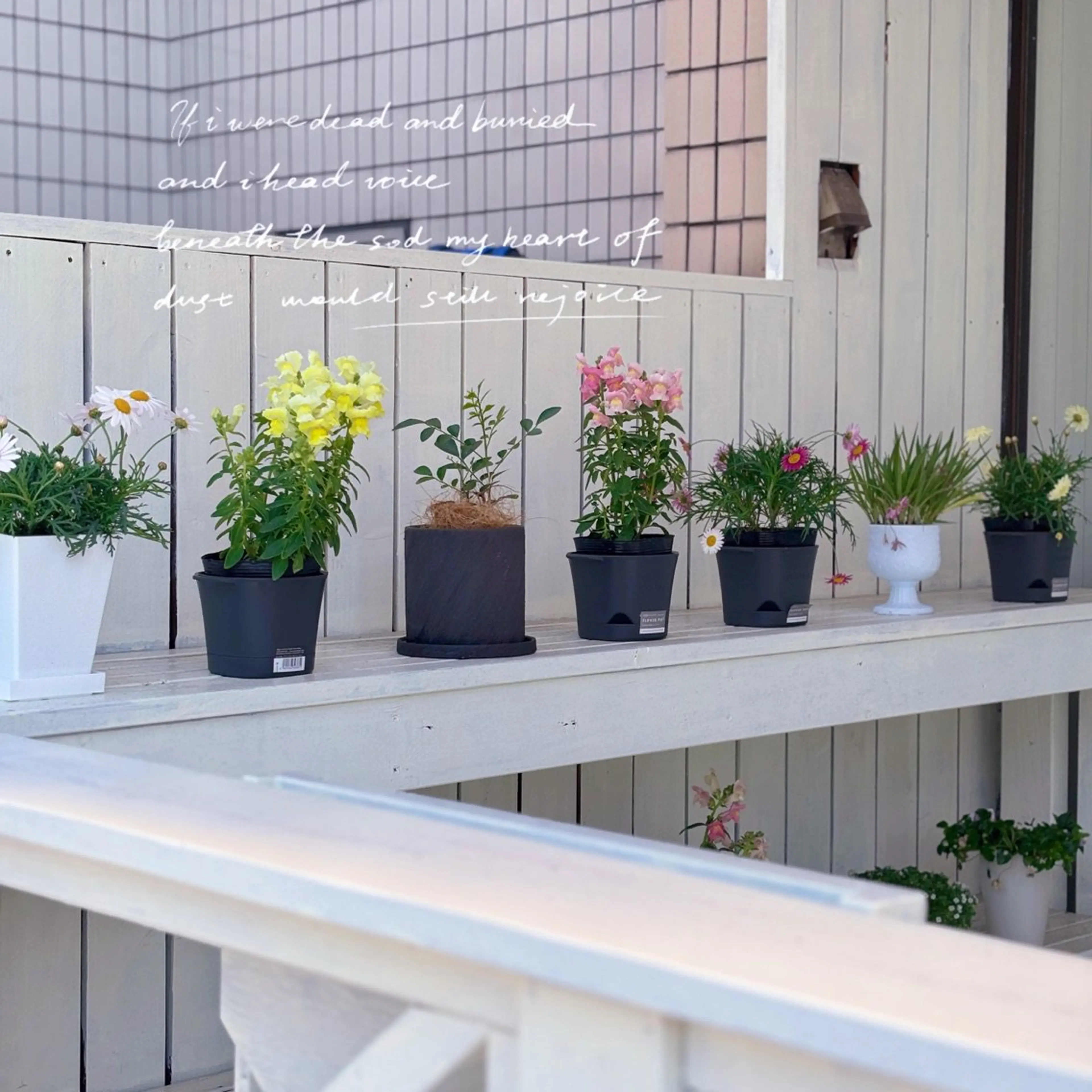 CHERIR NAILSALONの内観・外観3