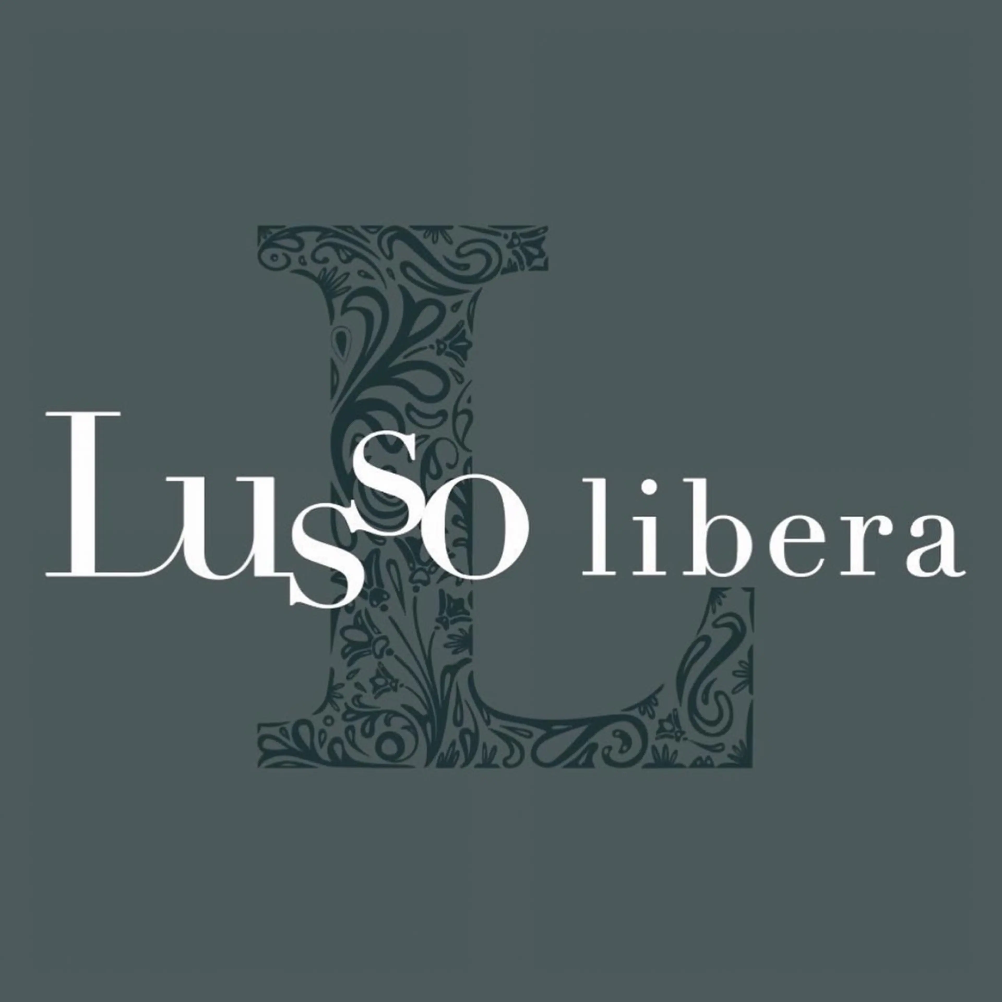Lusso liberaの内観・外観3