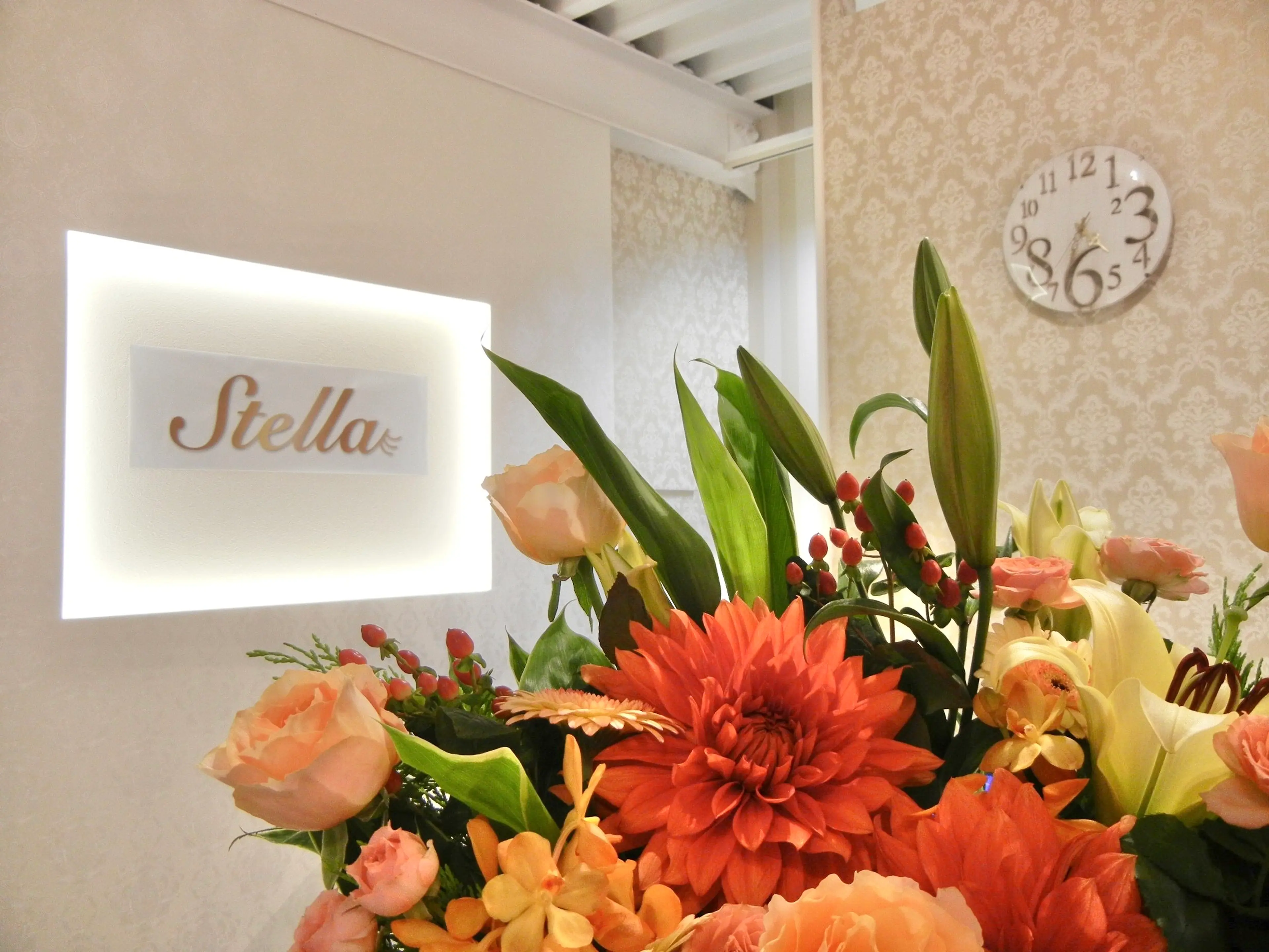 Stella -Luxe-の内観・外観1