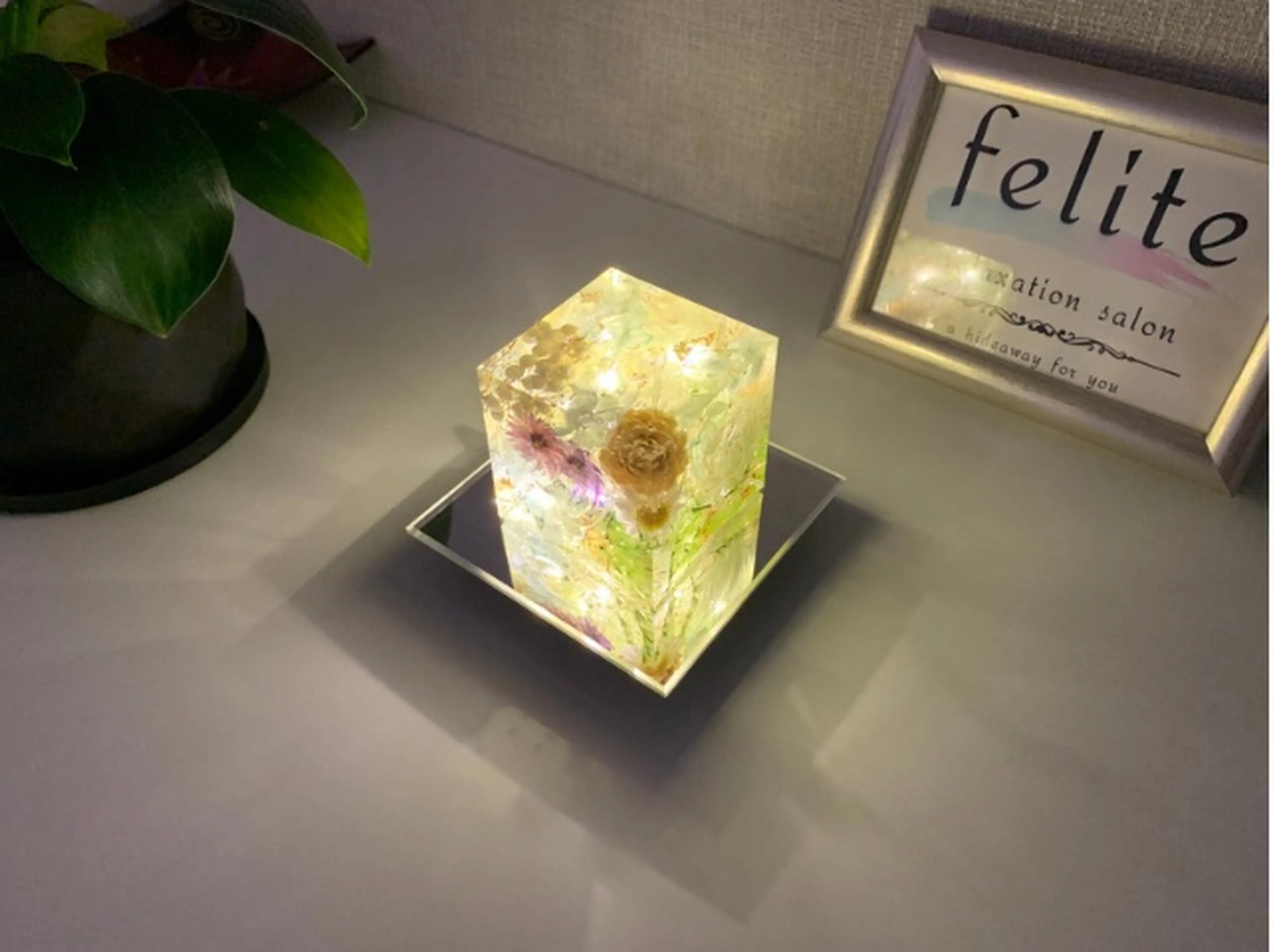 フェリーテの内観・外観2