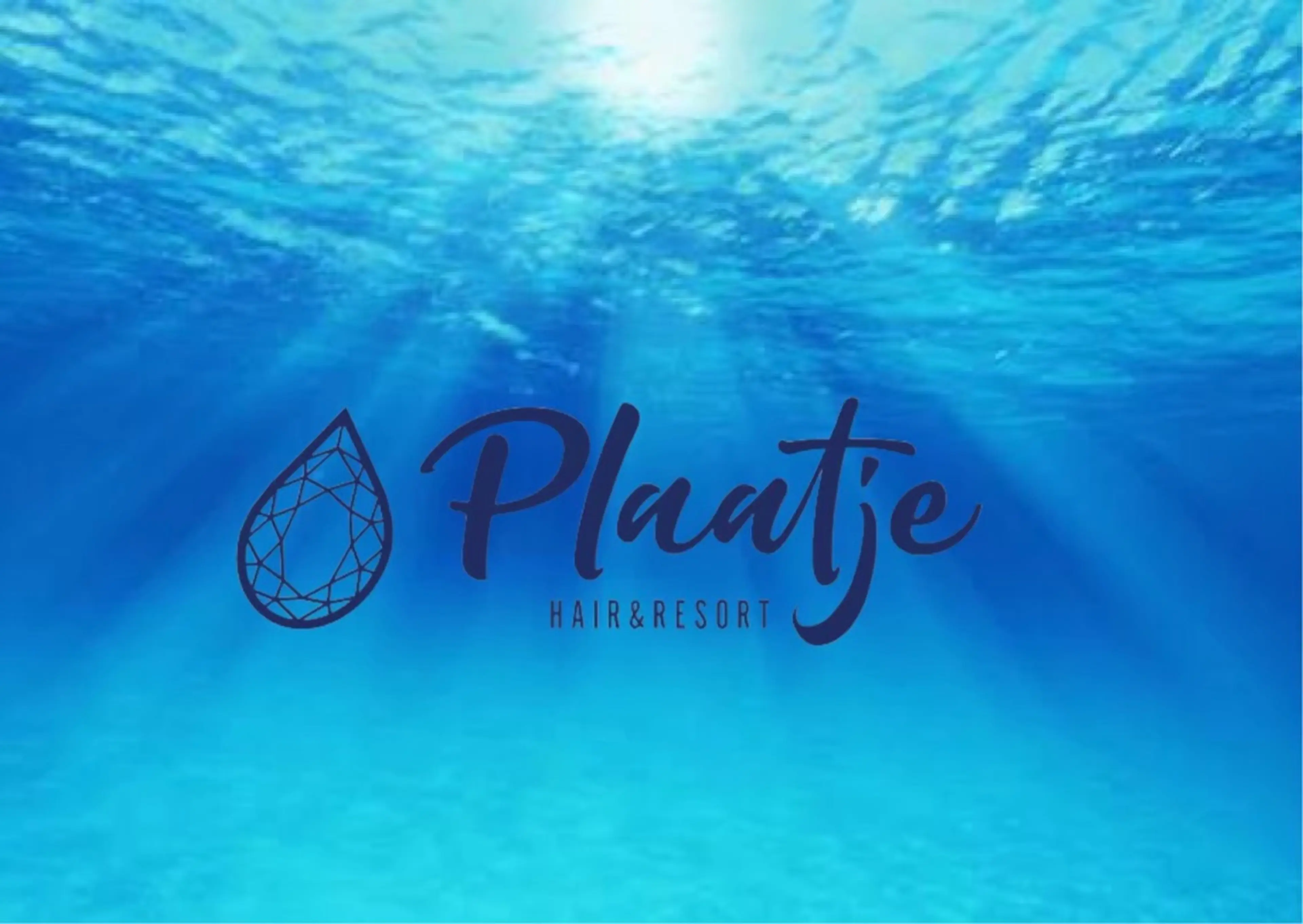 plaatje橋本の内観・外観1