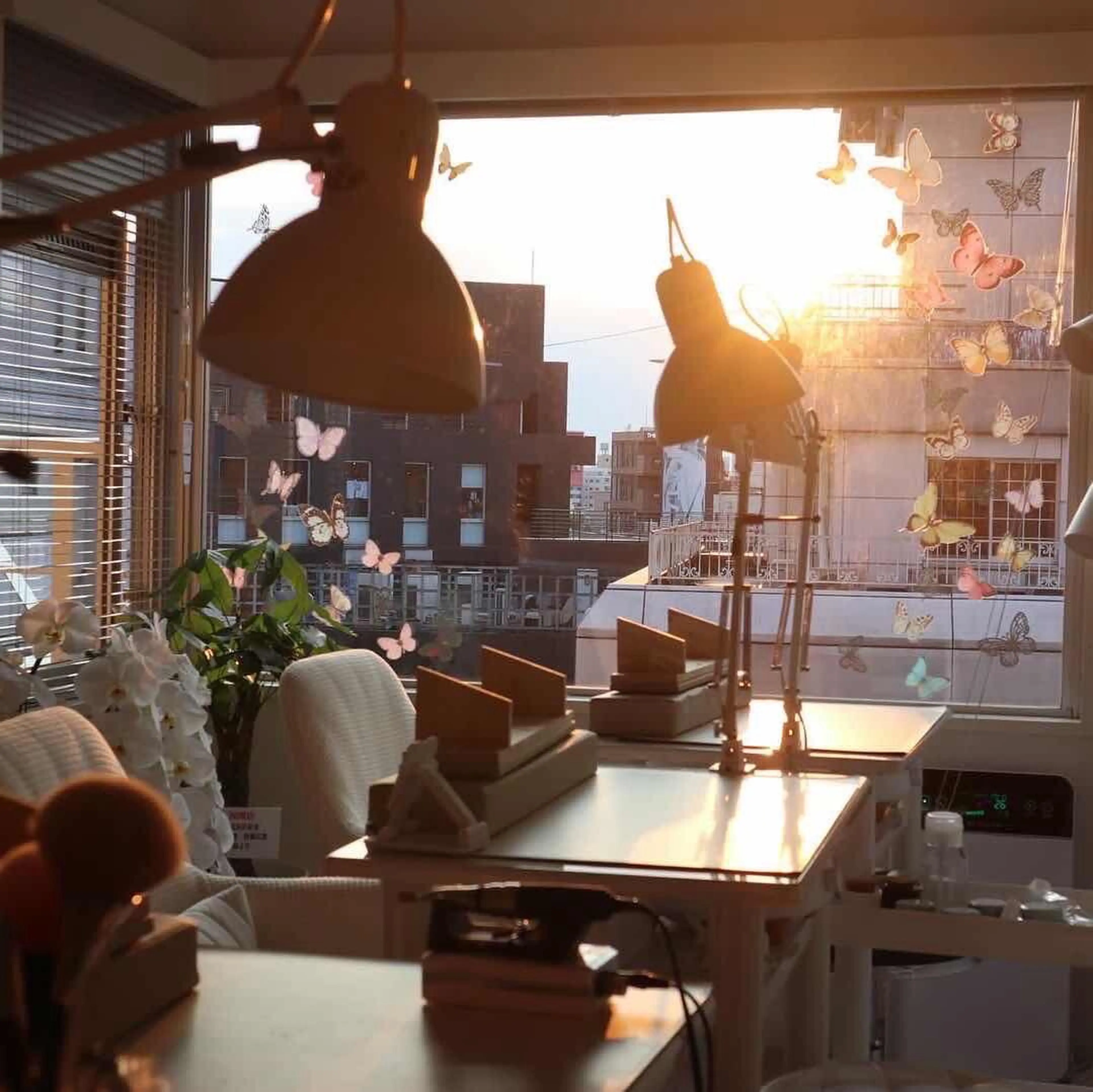 Seiko nailの内観・外観1